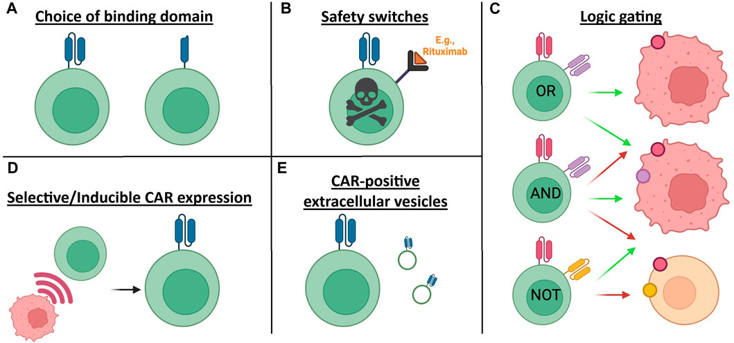 SEBM | CAR T cell engineering approaches to minimise toxicities