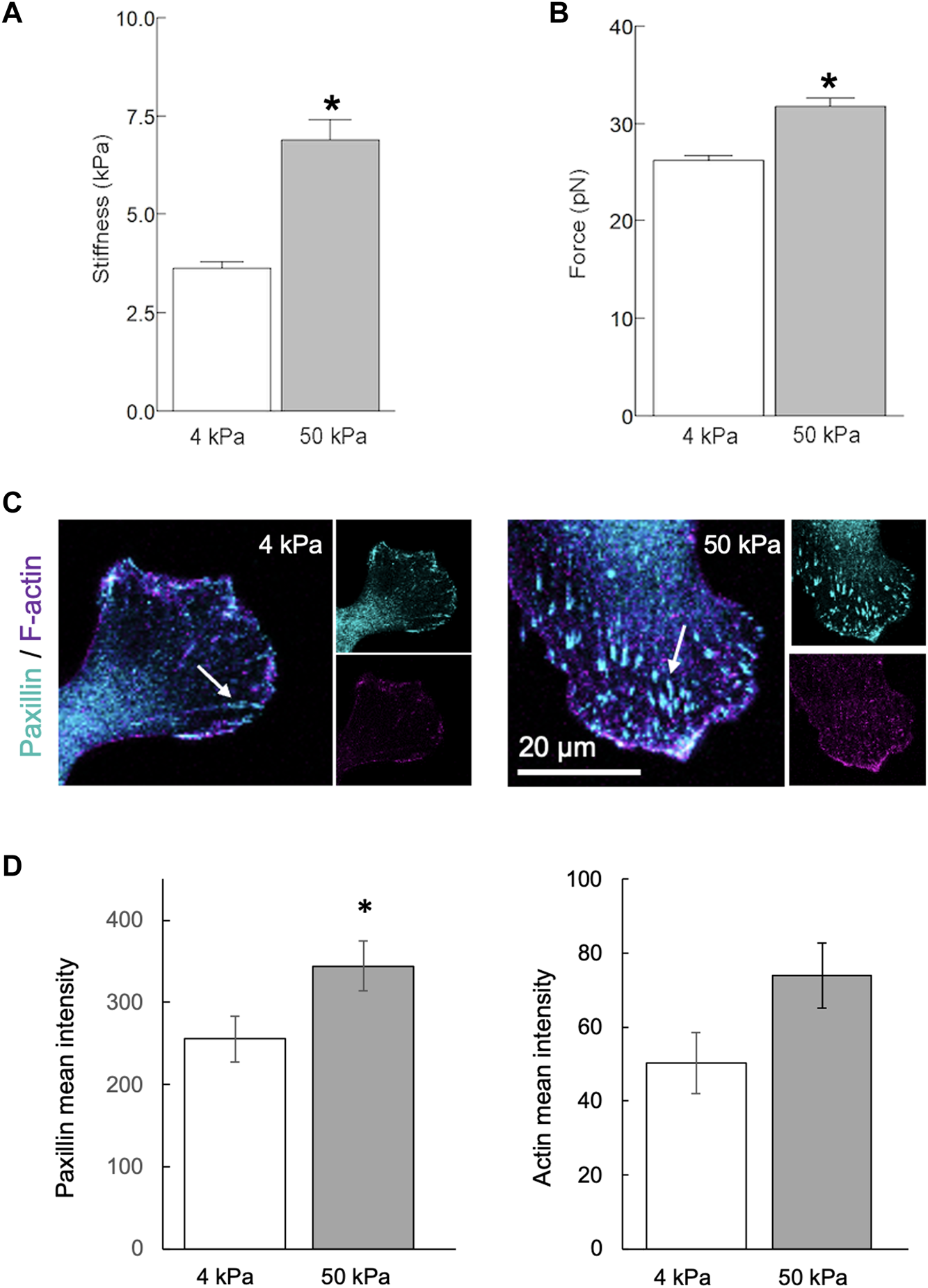 FIGURE 4