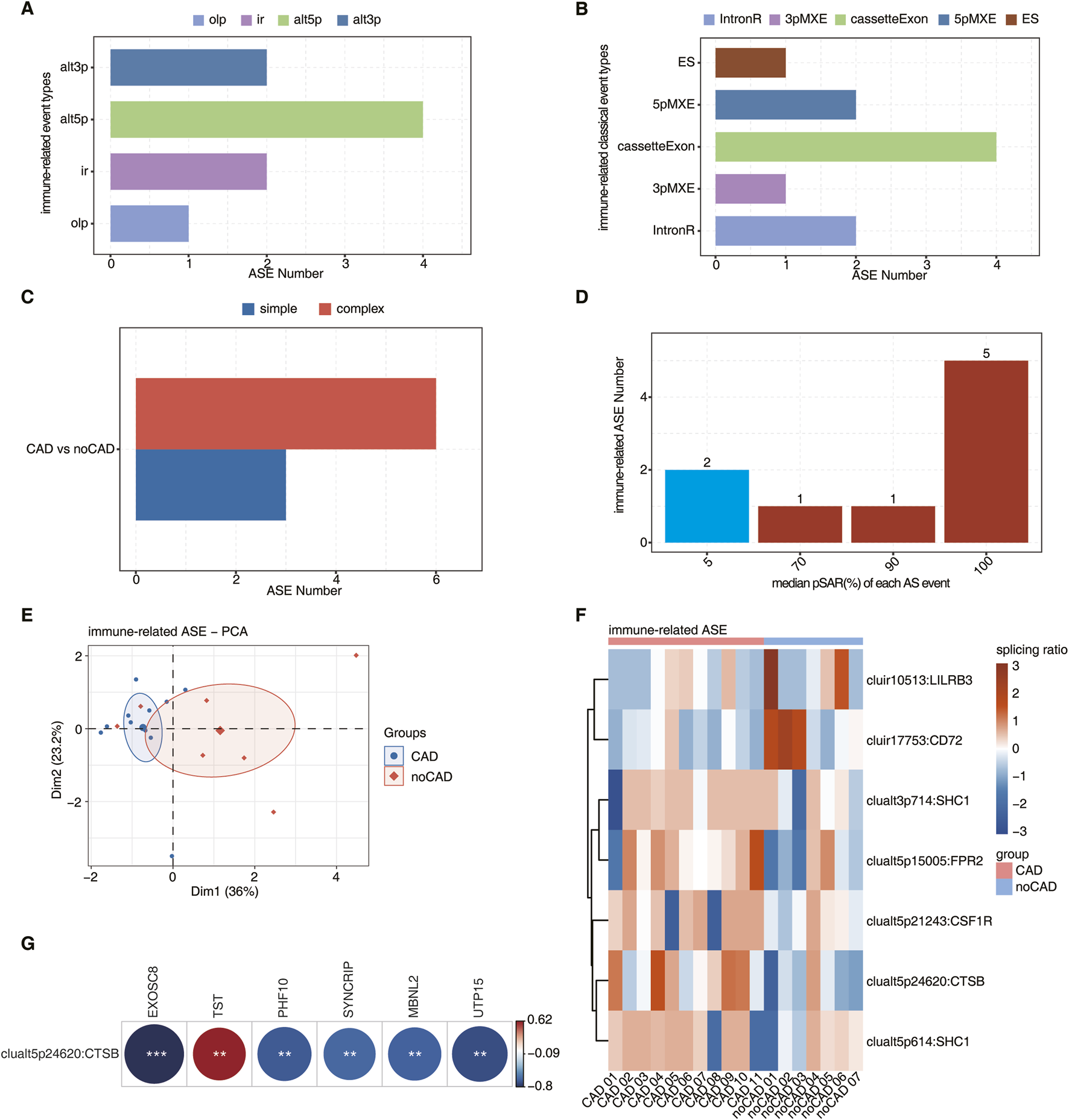 A set of graphics illustrates various analyses of immune-related alternative splicing events (ASEs). Graph A depicts a bar chart comparing ASE numbers across different splicing event types. Graph B shows a bar chart for classical event types. Graph C illustrates a bar comparison between simple and complex CAD conditions. Graph D presents a bar graph correlating ASE Number with median percentage of each splicing event. Graph E is a PCA plot differentiating CAD and noCAD groups. Graph F is a heatmap depicting immune-related ASEs across samples. Graph G shows a dot chart comparing gene expression values.