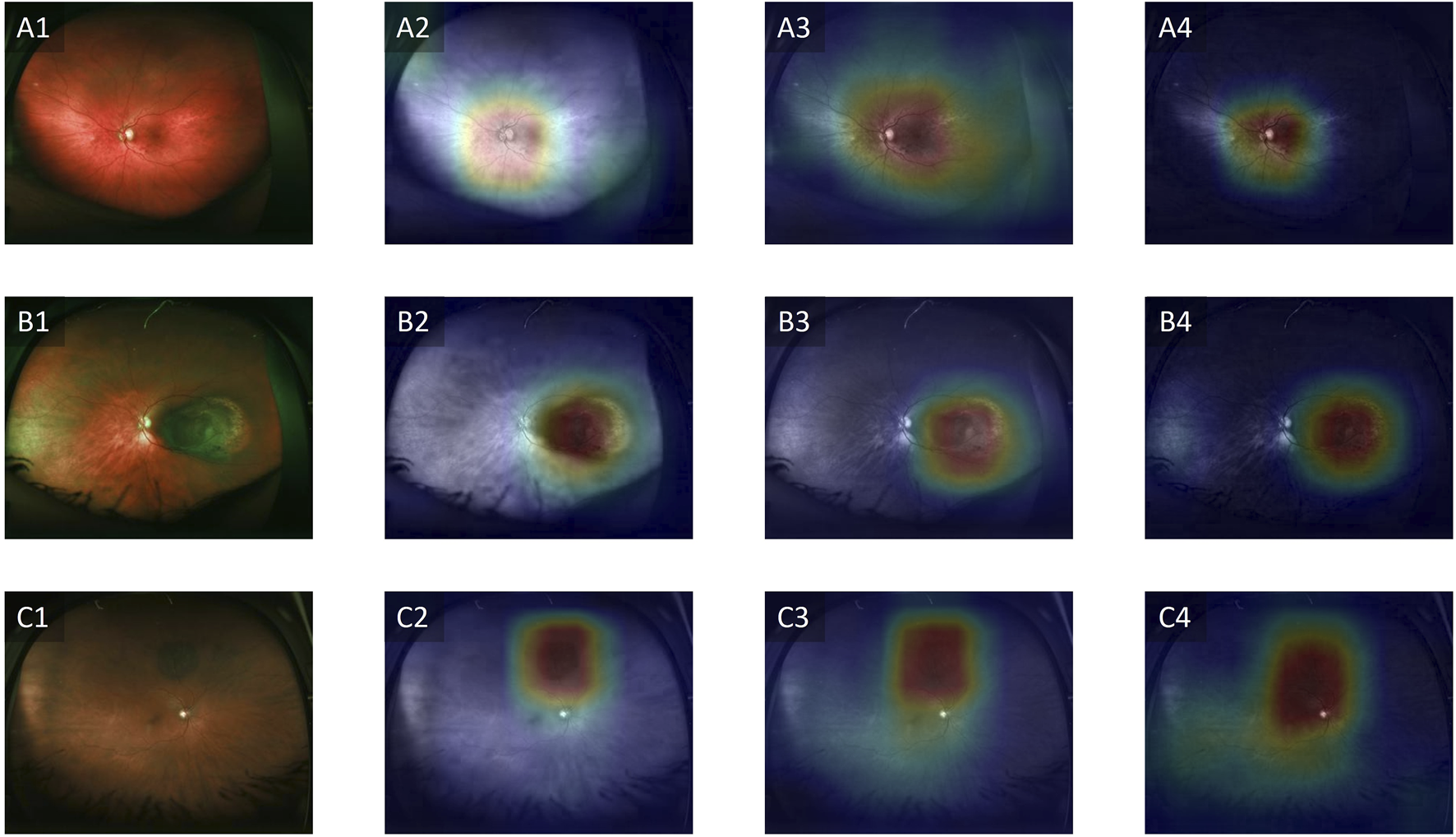 FIGURE 3