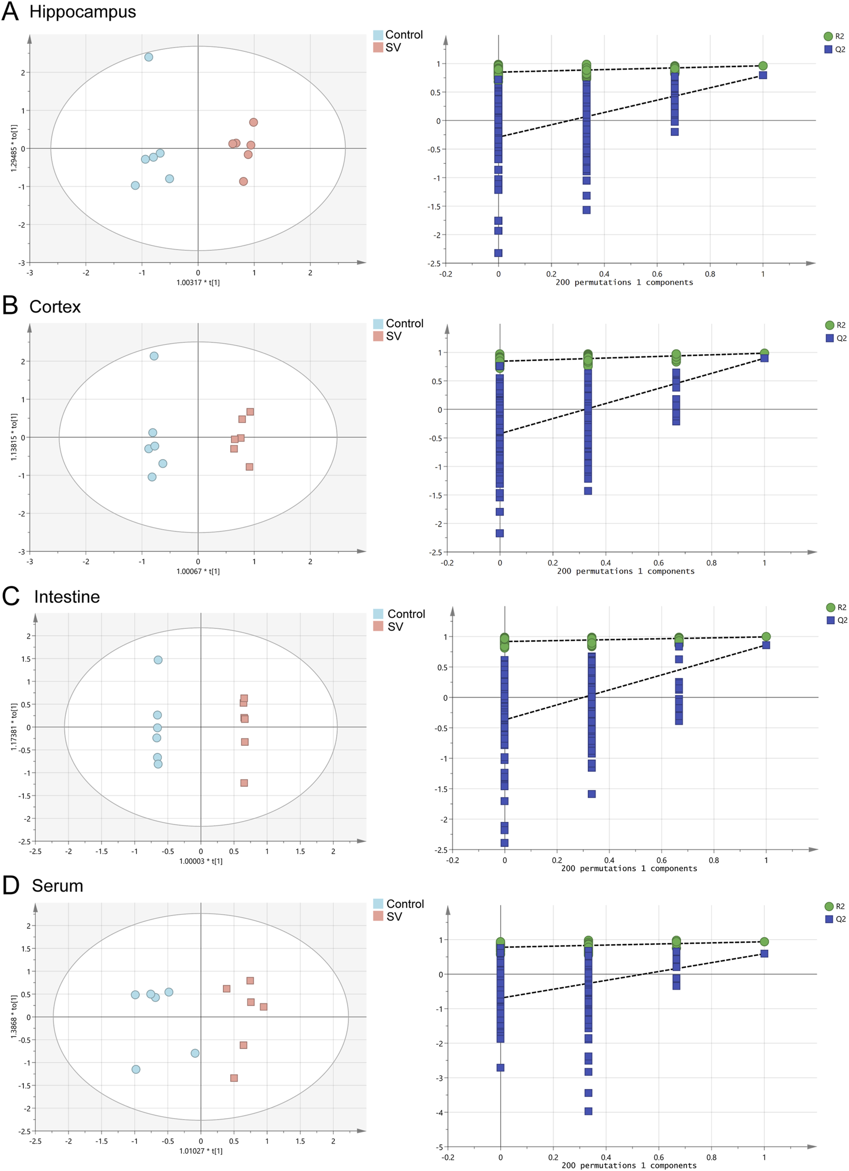 Four panels labeled A to D compare control and SV groups across different tissues: hippocampus, cortex, intestine, and serum. Each panel includes a scatter plot on the left showing group separation within an ellipse and a bar graph on the right displaying R2 and Q2 values across 200 permutations with one component. Blue and red indicate control and SV groups, respectively. R2 is marked in green and Q2 in blue.