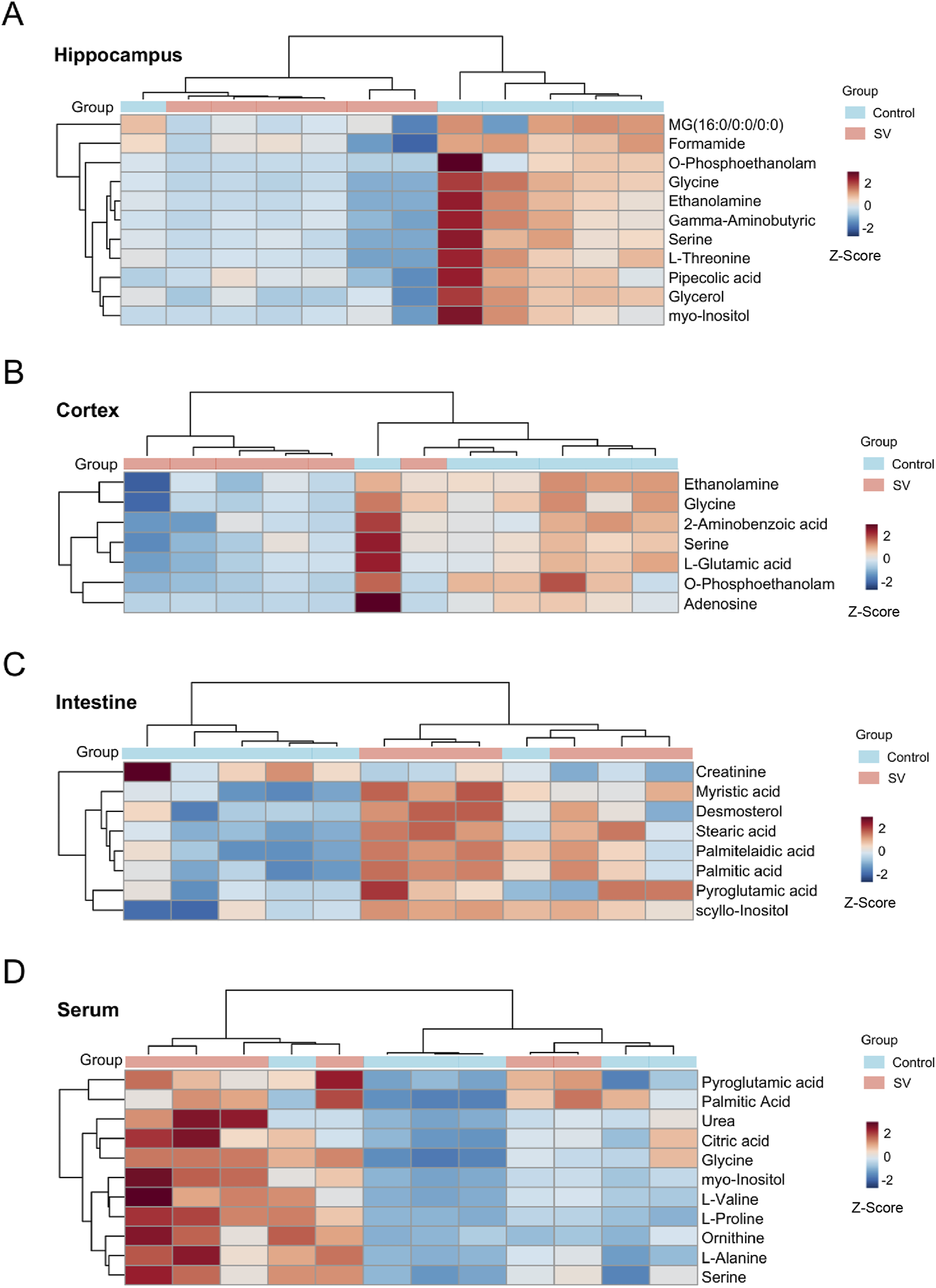 Four heatmaps (A-D) showing metabolite levels in different tissues. (A) Hippocampus, (B) Cortex, (C) Intestine, (D) Serum. Each map includes a color gradient indicating Z-scores from -2 (blue) to 2 (red) for control and SV groups. Metabolites are listed alongside each heatmap. Hierarchical clustering is shown on the top and side of each map.