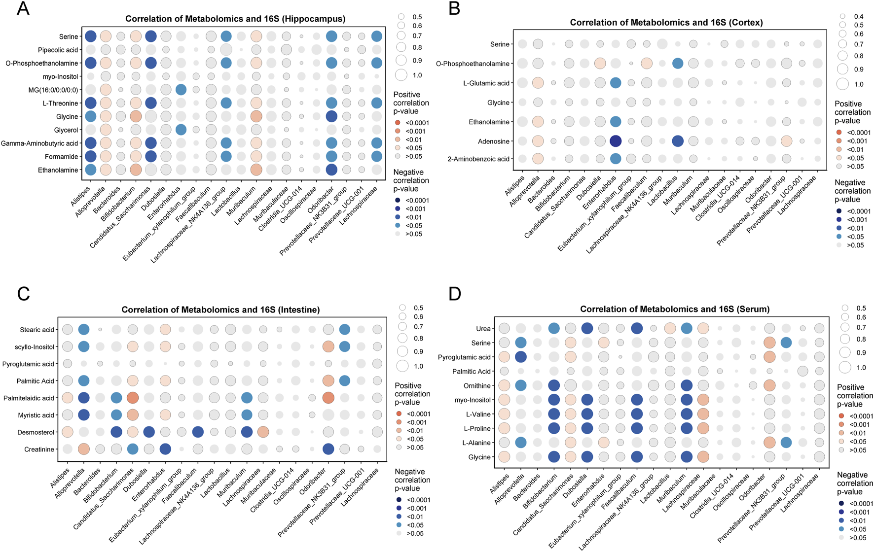 Heatmaps show correlations of metabolomics and 16S data in four regions: A) Hippocampus, B) Cortex, C) Intestine, D) Serum. Data points represent correlation strength, using color to indicate positive (red) or negative (blue) significance at various p-values, with circle sizes reflecting correlation magnitude.