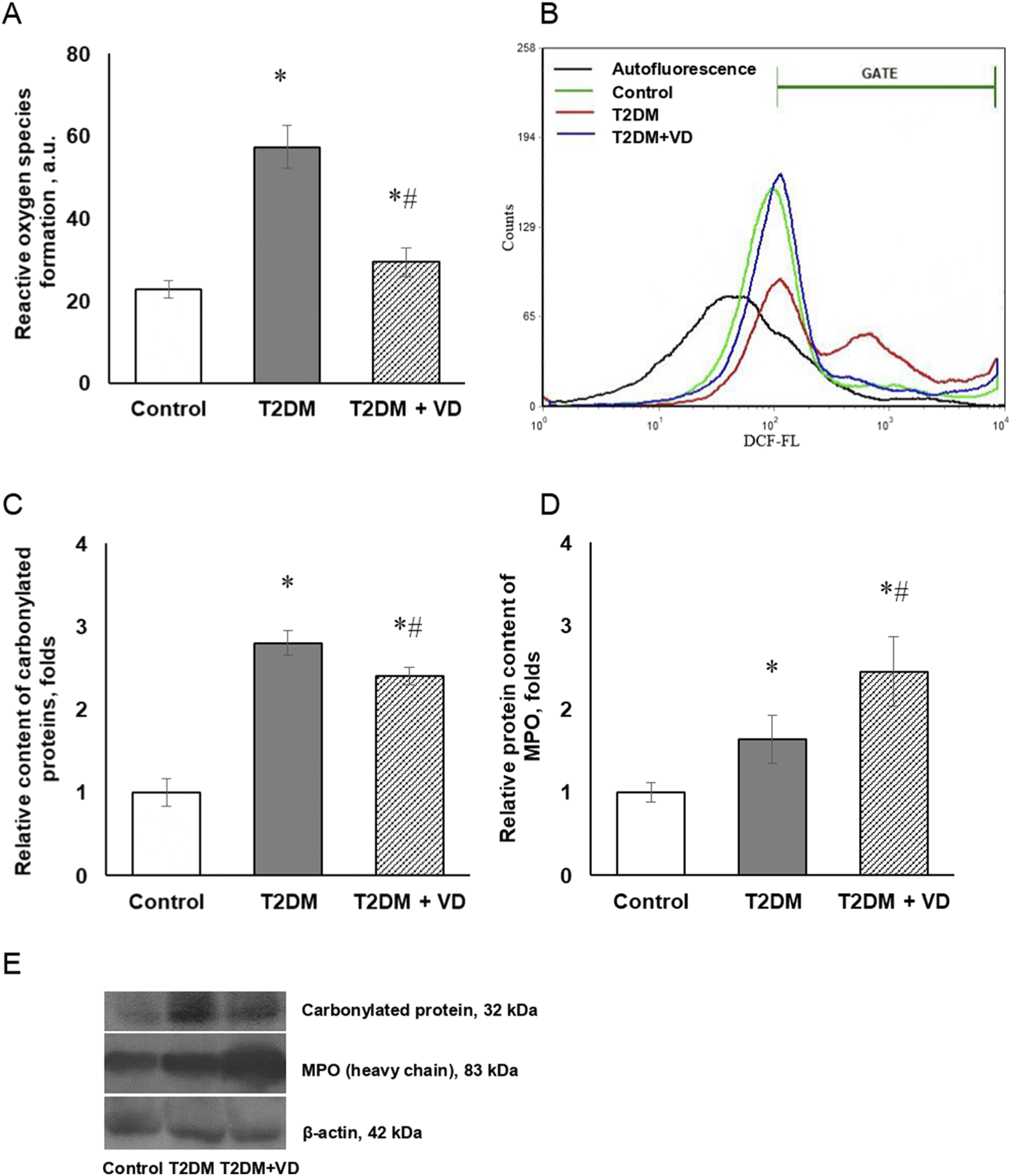 Graphs and a gel image are shown to illustrate biochemical data. Graph A compares reactive oxygen species formation across Control, T2DM, and T2DM with VD groups. Graph B shows fluorescence counts with different treatments. Graphs C and D display relative contents of carbonylated proteins and MPO in the same groups. The gel image E visualizes protein bands for carbonylated protein, MPO, and β-actin across the groups. Asterisks and hashtags indicate significant differences.