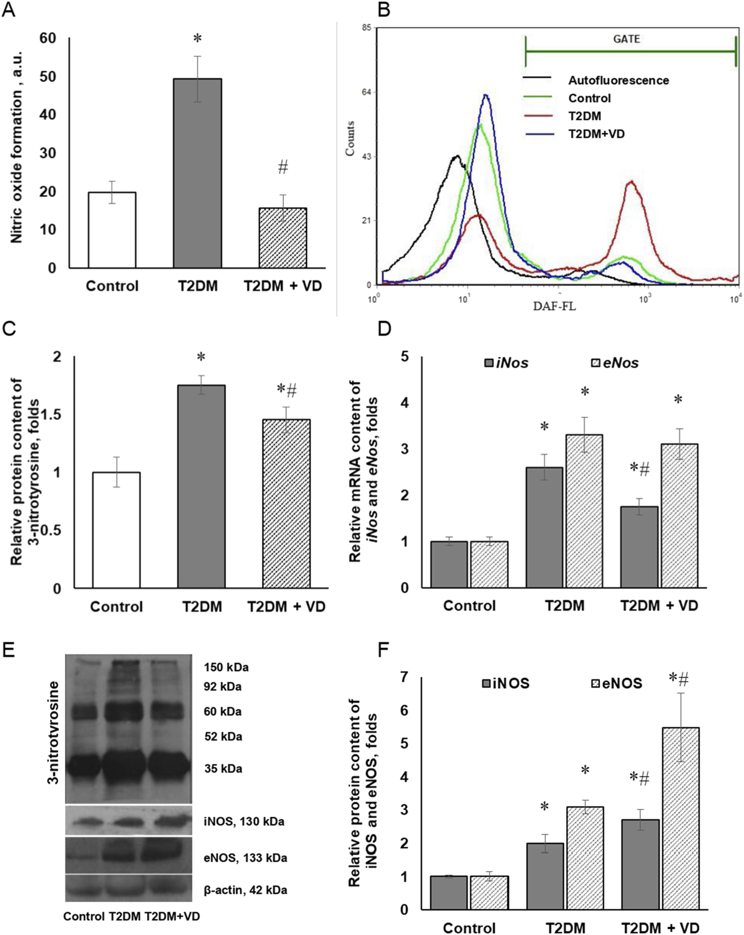 Six-panel figure showing experimental data on control, T2DM, and T2DM + VD groups. (A) Bar graph of nitric oxide formation showing increased levels in T2DM, reduced with VD. (B) Flow cytometry histogram with four lines: autofluorescence, control, T2DM, and T2DM+VD. (C) Bar graph of 3-nitrotyrosine protein content, with T2DM elevated and partial reduction by VD. (D) Bar graph of relative mRNA content of iNOS and eNOS, with T2DM elevated and further increase by VD. (E) Western blots show protein levels of 3-nitrotyrosine, iNOS, and eNOS. (F) Bar graph of relative protein content of iNOS and eNOS, with VD alteration. Asterisks and hashtags indicate significance levels.