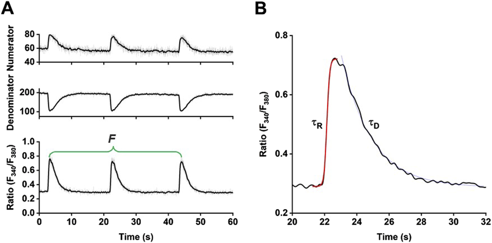 Graph A shows three line graphs indicating numerator, denominator, and ratio (F340/F380) over sixty seconds, with fluctuations in values. Graph B depicts a line graph of the ratio (F340/F380) over a shorter timeframe, highlighting a peak followed by a decline, with rise time τ(R) and decay time τ(D) marked.
