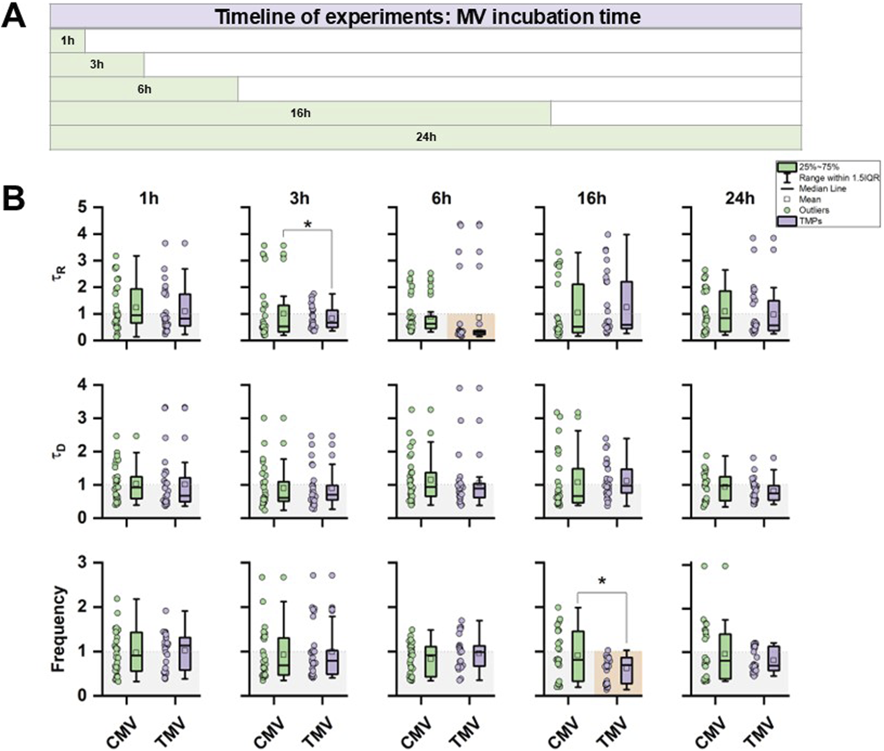 Chart A displays the timeline of MV incubation times across five intervals: 1 hour, 3 hours, 6 hours, 16 hours, and 24 hours. Chart B presents box plots at each interval for values τ(R), τ(D), and frequency, comparing CMV and TMV. Data points, means, medians, ranges within 1.5 times the interquartile range, and outliers are depicted, highlighting differences between CMV and TMV. Significant differences are marked with an asterisk.