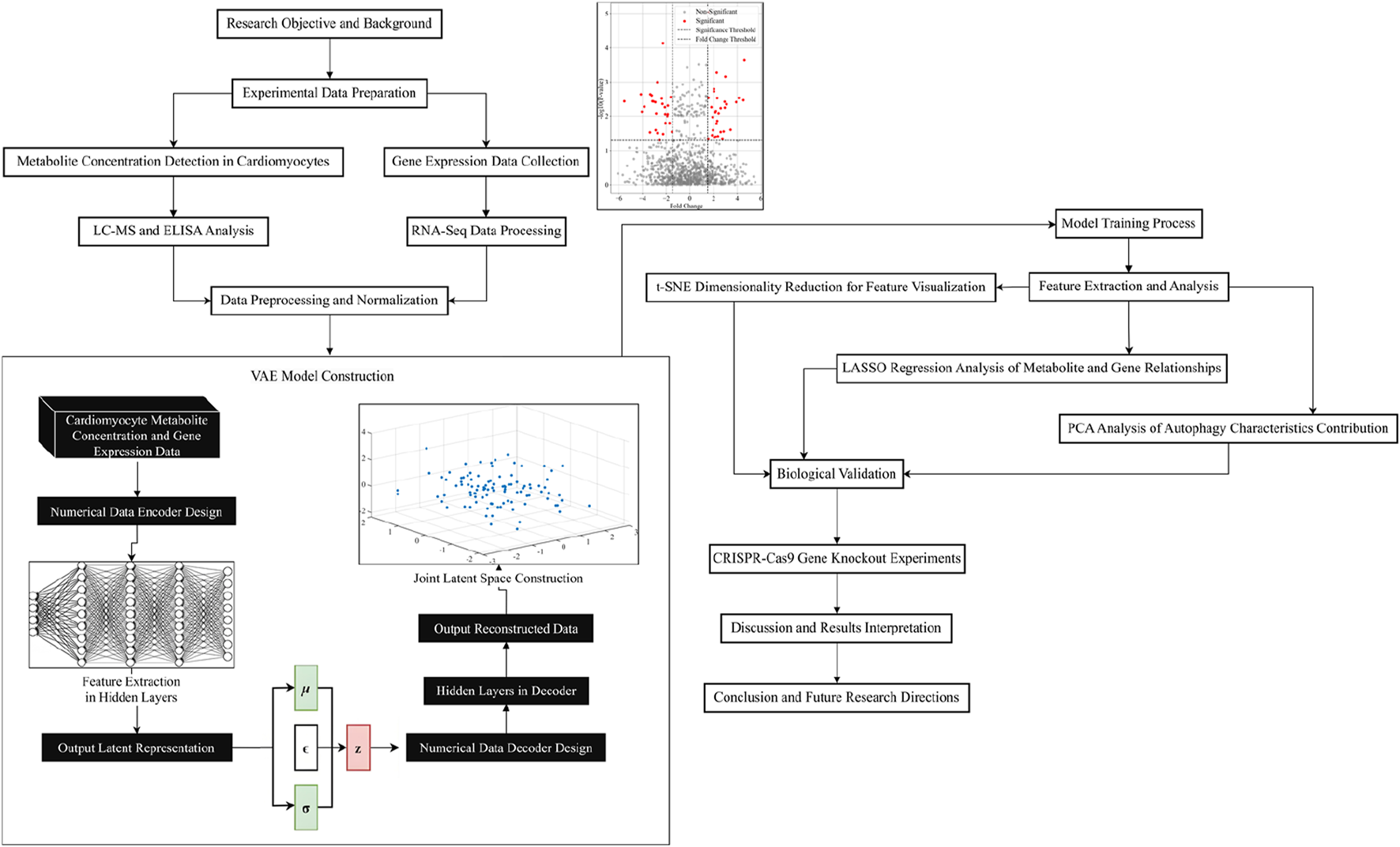 Flowchart depicting a research process involving cardiomyocyte metabolite concentration and gene expression data. It includes steps for data preparation, preprocessing, VAE model construction, dimensionality reduction, LASSO regression analysis, PCA, and biological validation through CRISPR-Cas9 gene knockout experiments. Concludes with discussions and future research directions. There are diagrams illustrating a VAE model with latent space and feature extraction, alongside a chart for data processing outcomes.