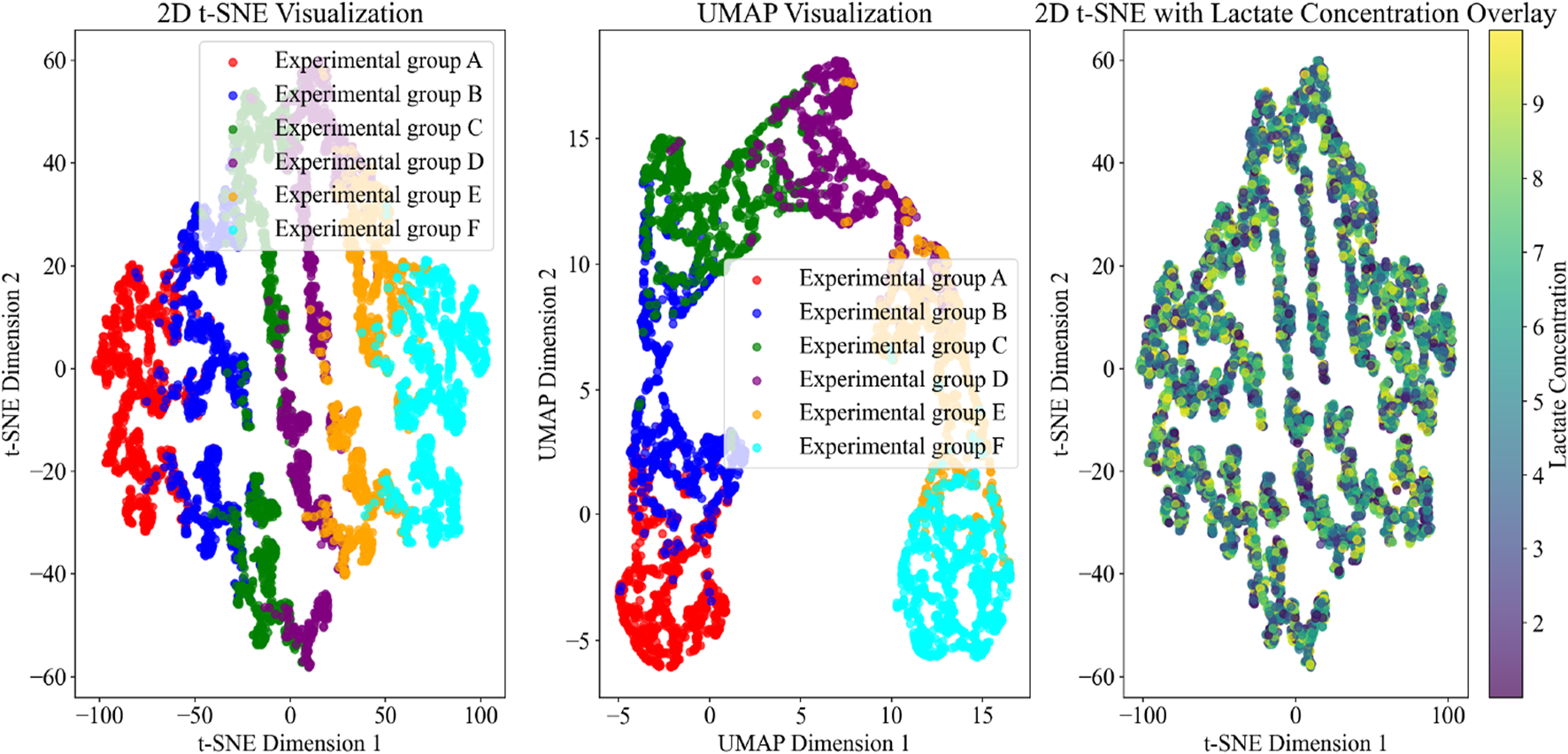 Three panels display data visualizations. The first shows a 2D t-SNE plot with clusters for six experimental groups, each in a different color. The second panel is a UMAP plot illustrating similar clustering. The third panel overlays lactate concentration data on a 2D t-SNE plot, represented by varying colors from purple to yellow, indicating increasing concentration levels.