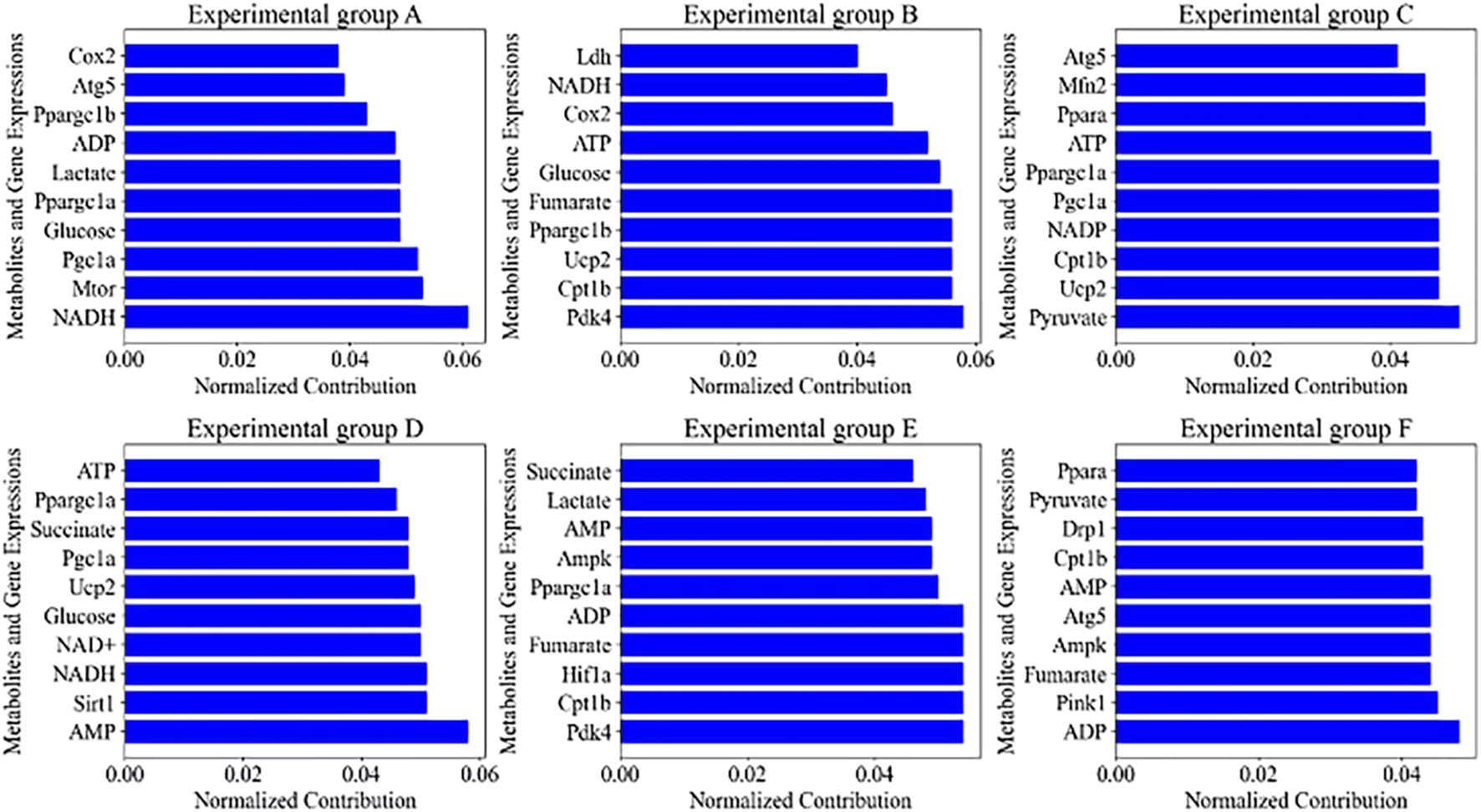 Six bar charts display normalized contributions of metabolites and gene expressions across experimental groups A to F. Each chart lists different elements like NADH, ATP, and Pgc1a, with varying contribution levels. X-axis represents normalized contribution; y-axis lists metabolites and gene expressions.