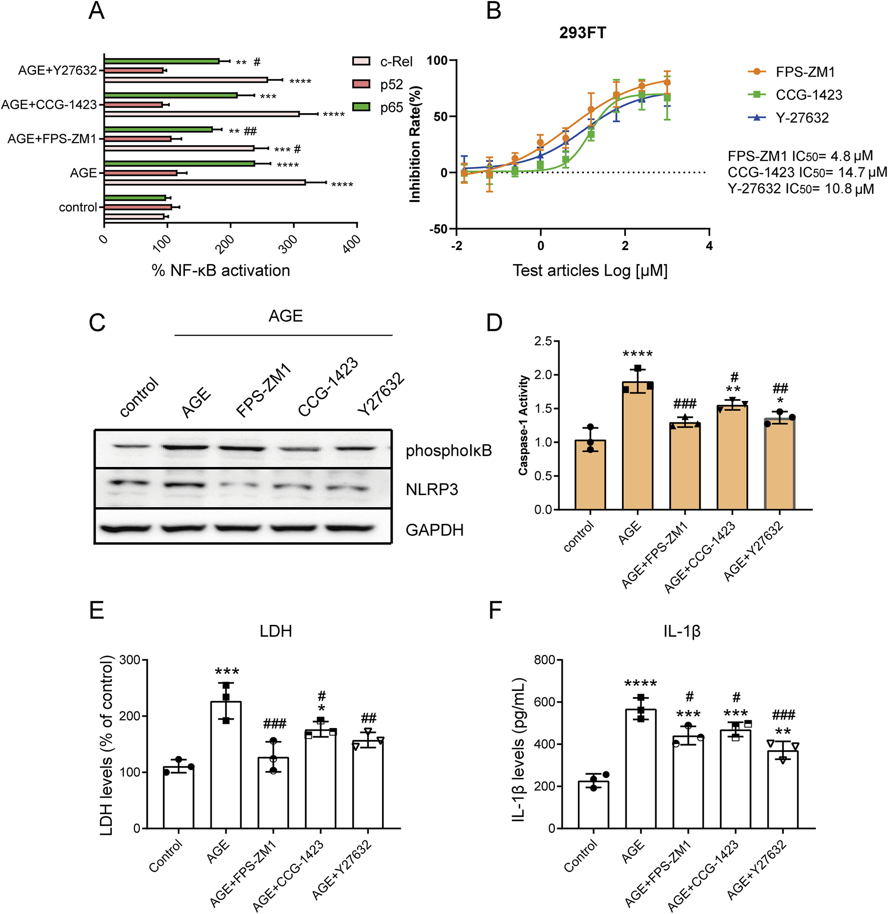 Grouped images depict various experimental results. Chart A shows NF-κB activation across treatments, with distinct bars for c-Rel, p52, and p65. Chart B displays inhibition rates of FPS-ZM1, CCG-1423, and Y-27632 on 293FT cells. Image C is a Western blot for proteins phosphoIkB, NLRP3, and GAPDH under different conditions. Chart D illustrates caspase-1 activity across samples. Chart E presents LDH levels as a percentage of control. Chart F shows IL-1β levels in pg/mL, comparing different treatments. Statistical significance is noted with asterisks and hashtags.