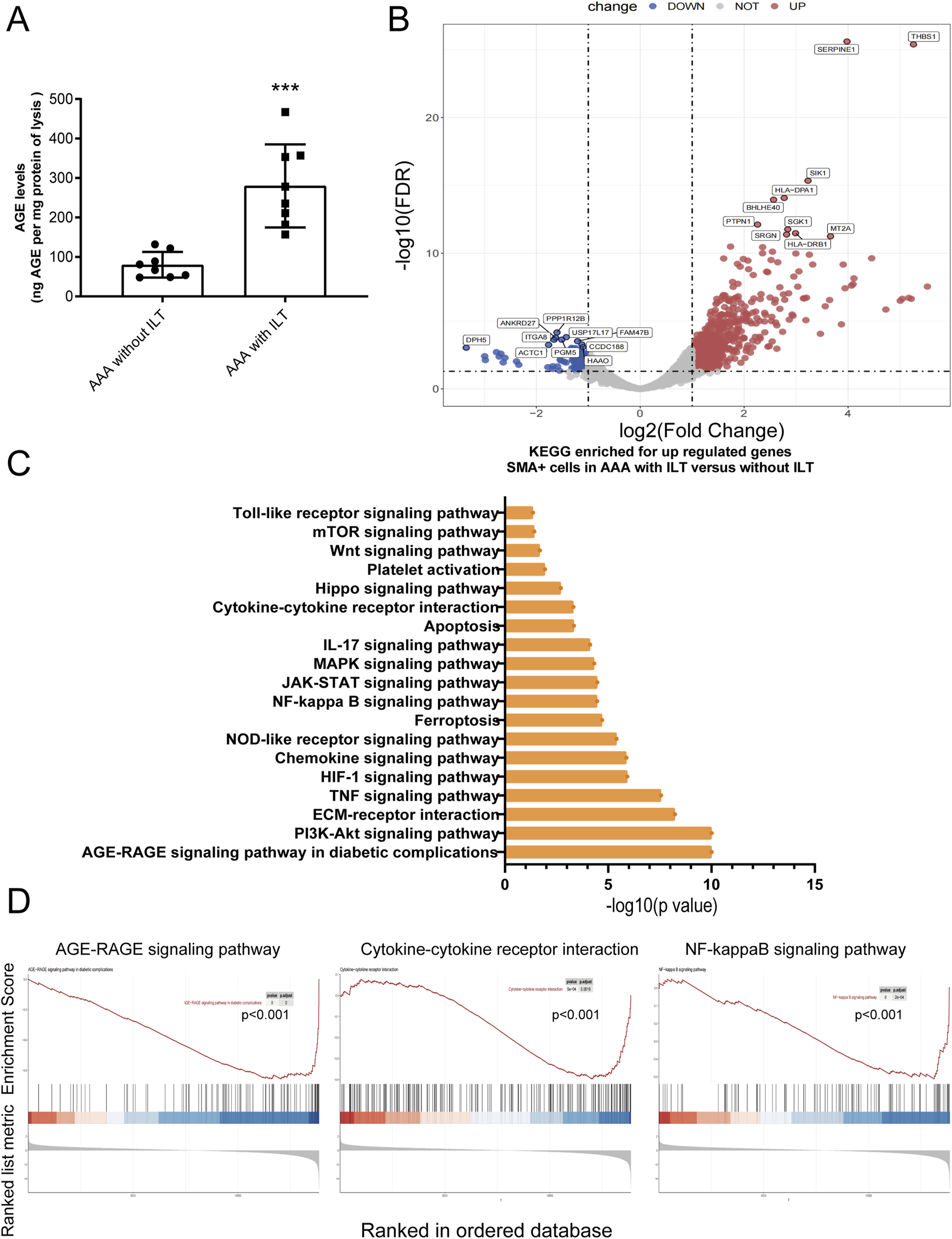 Four panels depict various data visualizations related to signaling pathways:A. Bar graph showing AGE levels in AAA with and without ILT, with higher levels in AAA with ILT.B. Volcano plot of gene expression changes, highlighting upregulated genes in red between SMA+ cells in AAA with versus without ILT.C. Bar graph of KEGG pathways, indicating enrichment of upregulated genes, with AGE-RAGE signaling having the highest significance.D. Line graphs for enrichment scores of AGE-RAGE, cytokine-cytokine receptor interaction, and NF-κB signaling pathways, all with p-values less than 0.001.