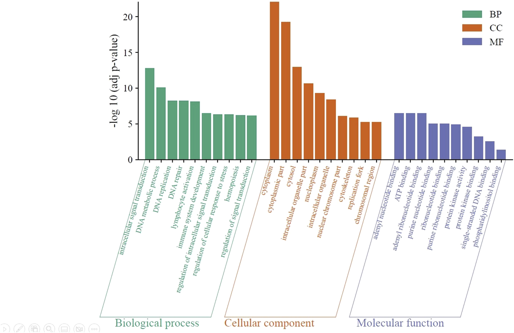 Bar chart showing enriched gene ontology terms in three categories: Biological Process (green), Cellular Component (orange), and Molecular Function (blue). The x-axis lists specific processes, components, and functions, while the y-axis shows significance as negative logarithm of adjusted p-values.