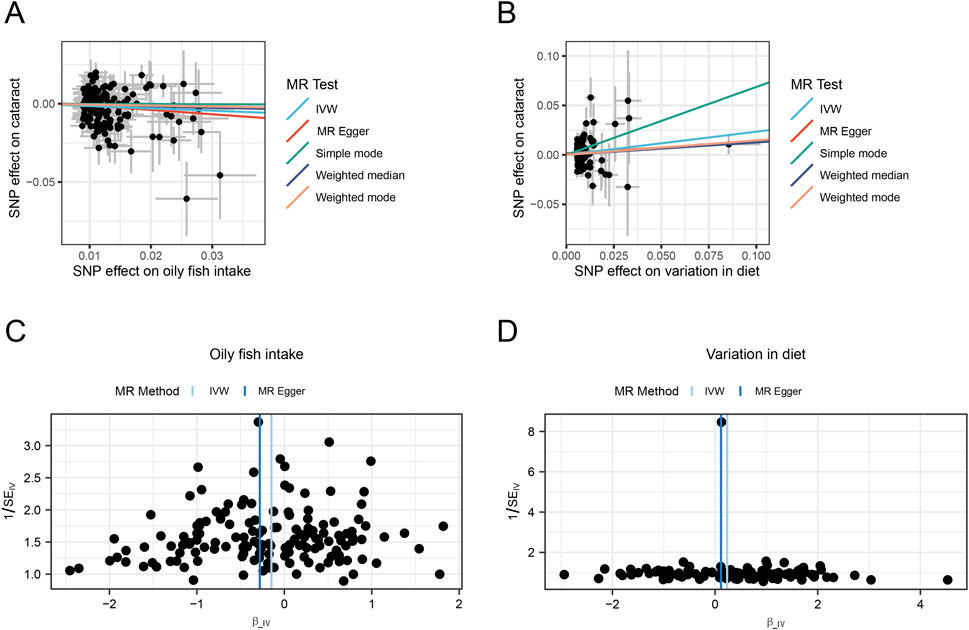 Graphs depicting Mendelian Randomization (MR) analyses. Graph A shows SNP effects on oily fish intake against cataract, with lines representing different MR tests. Graph B plots SNP effects on diet variation against cataract. Graph C displays a funnel plot for oily fish intake, and Graph D shows a funnel plot for diet variation, both with data points scattered around zero.