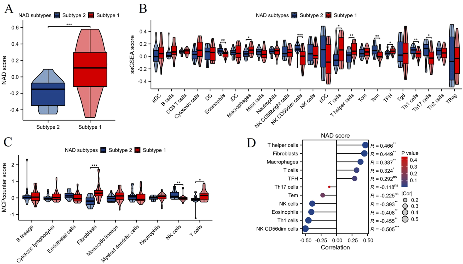 Panel A shows a violin plot comparing NAD scores between Subtype 1 and Subtype 2, with Subtype 1 displaying higher values. Panel B presents ssGSEA scores for various immune cells in the two subtypes; significant differences are marked among several cell types. Panel C illustrates MCPcounter scores, highlighting significant differences in fibroblasts, NK cells, and T cells between the subtypes. Panel D displays a correlation chart between NAD score and different cell types, with varying correlation coefficients and significance levels indicated by color and size of dots.