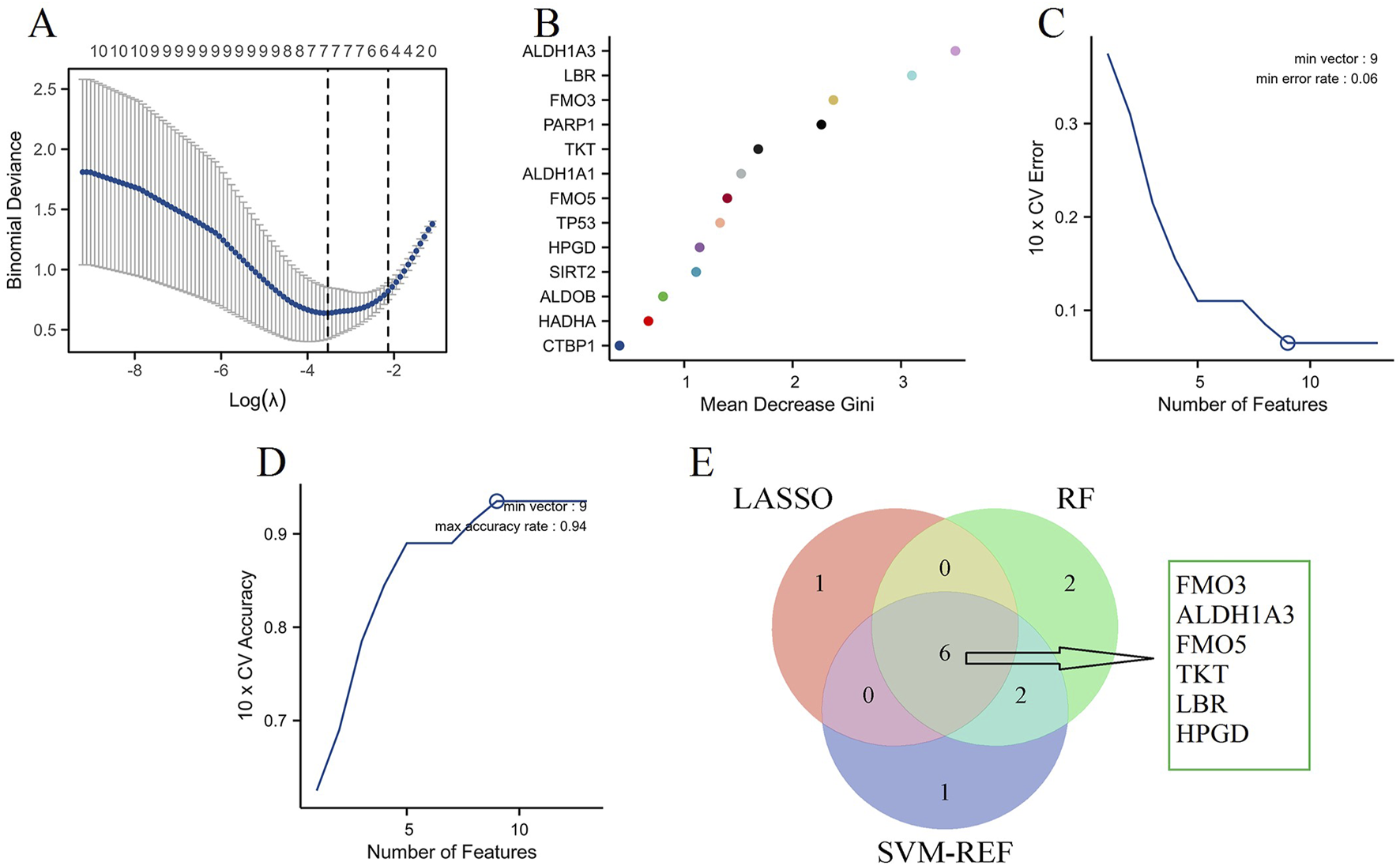 Composite image with five panels depicting different data analyses. Panel A shows a plot of binomial deviance versus log lambda, highlighting optimal values with dashed lines. Panel B is a scatter plot of genes against mean decrease Gini, indicating gene importance. Panel C presents a line graph of the error rate versus the number of features, identifying the minimum error rate. Panel D features a graph of accuracy versus the number of features, pinpointing maximum accuracy. Panel E is a Venn diagram from LASSO, RF, and SVM-REF analyses, identifying six common genes: FMO3, ALDH1A3, FMO5, TKT, LBR, and HPGD.