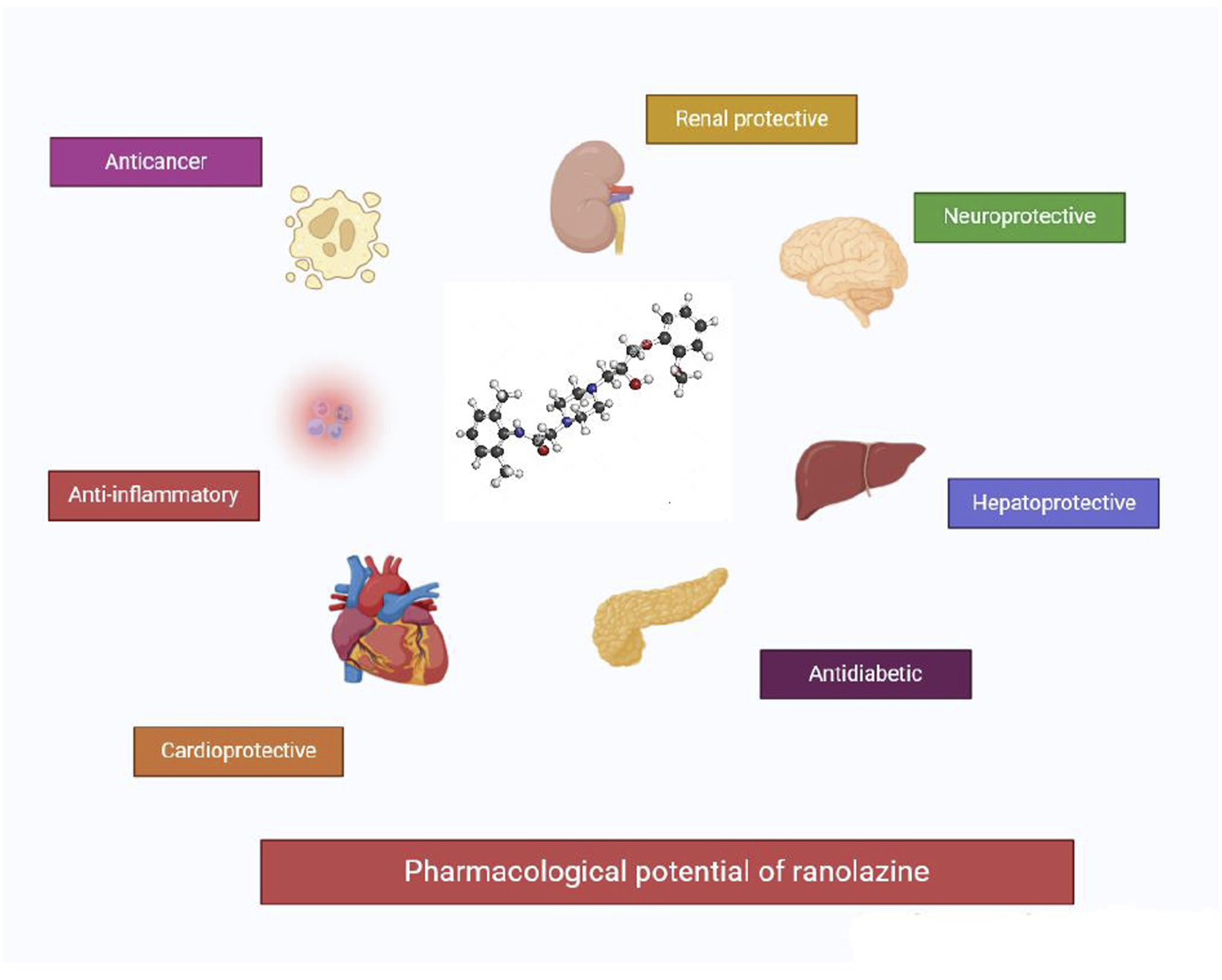 Molecular structure of ranolazine at the center surrounded by icons representing its pharmacological potentials: anticancer, anti-inflammatory, renal protective, neuroprotective, hepatoprotective, cardioprotective, and antidiabetic effects.