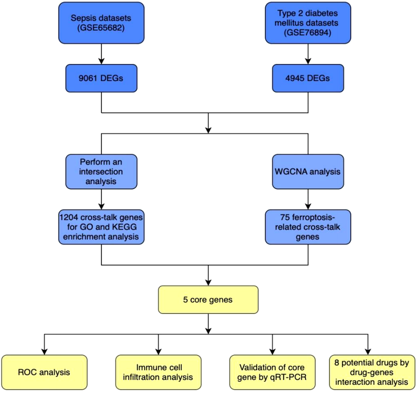 Flowchart showing a comparison of sepsis and type 2 diabetes mellitus datasets. Sepsis has 9,061 differentially expressed genes, while diabetes has 4,945. An intersection analysis yields 1,204 cross-talk genes for enrichment and 75 ferroptosis-related genes. The analysis results in 5 core genes, which are further analyzed through ROC analysis, immune cell infiltration analysis, qRT-PCR validation, and drug-gene interaction analysis suggesting 8 potential drugs.