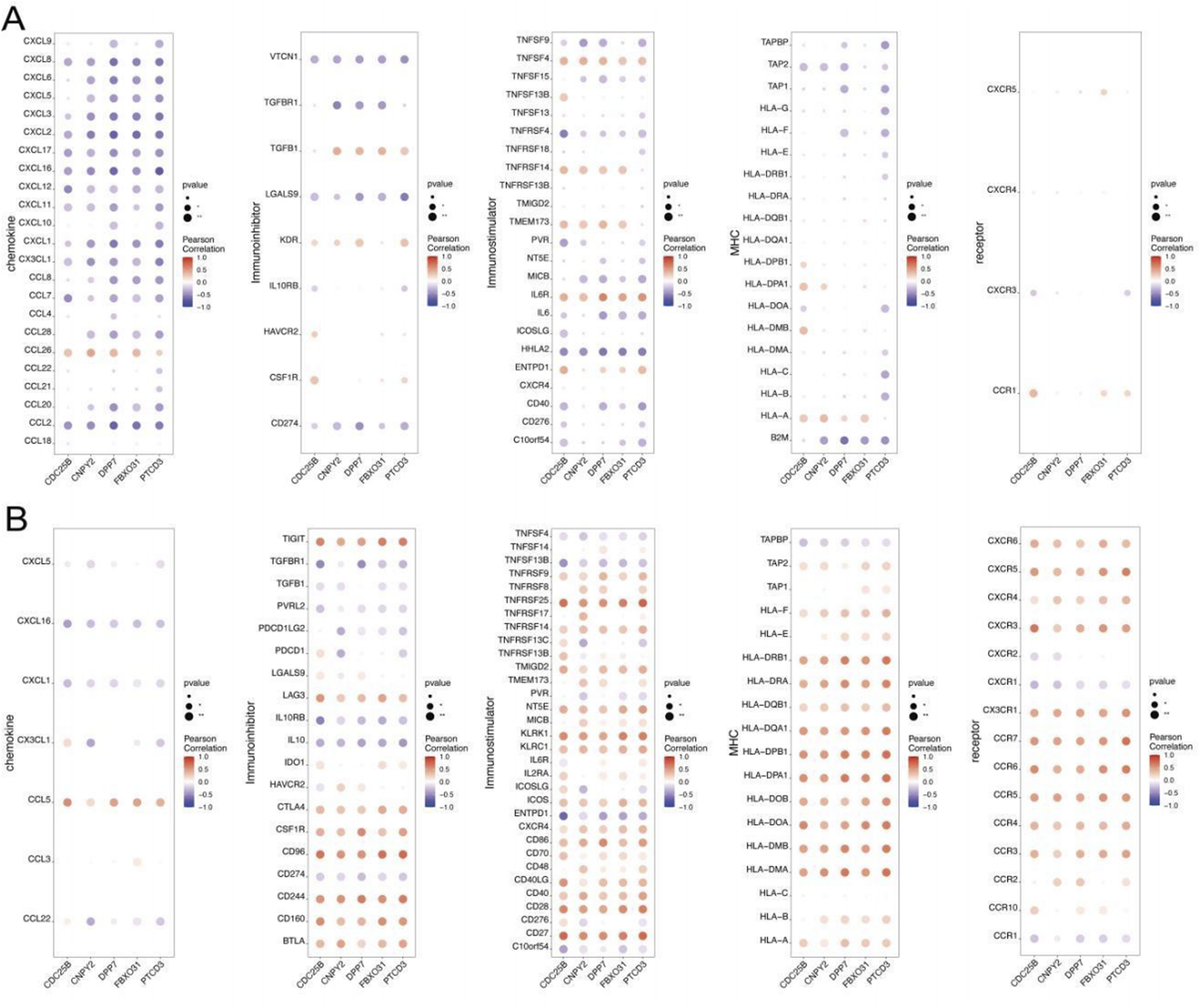 Dot plots showing Pearson correlation between gene expression and treatments across different categories, including chemokine, immunoinhibitor, MHC, and receptor for datasets A and B. The color scale indicates correlation strength, with blue for negative and red for positive correlations, and dot size representing p-values.