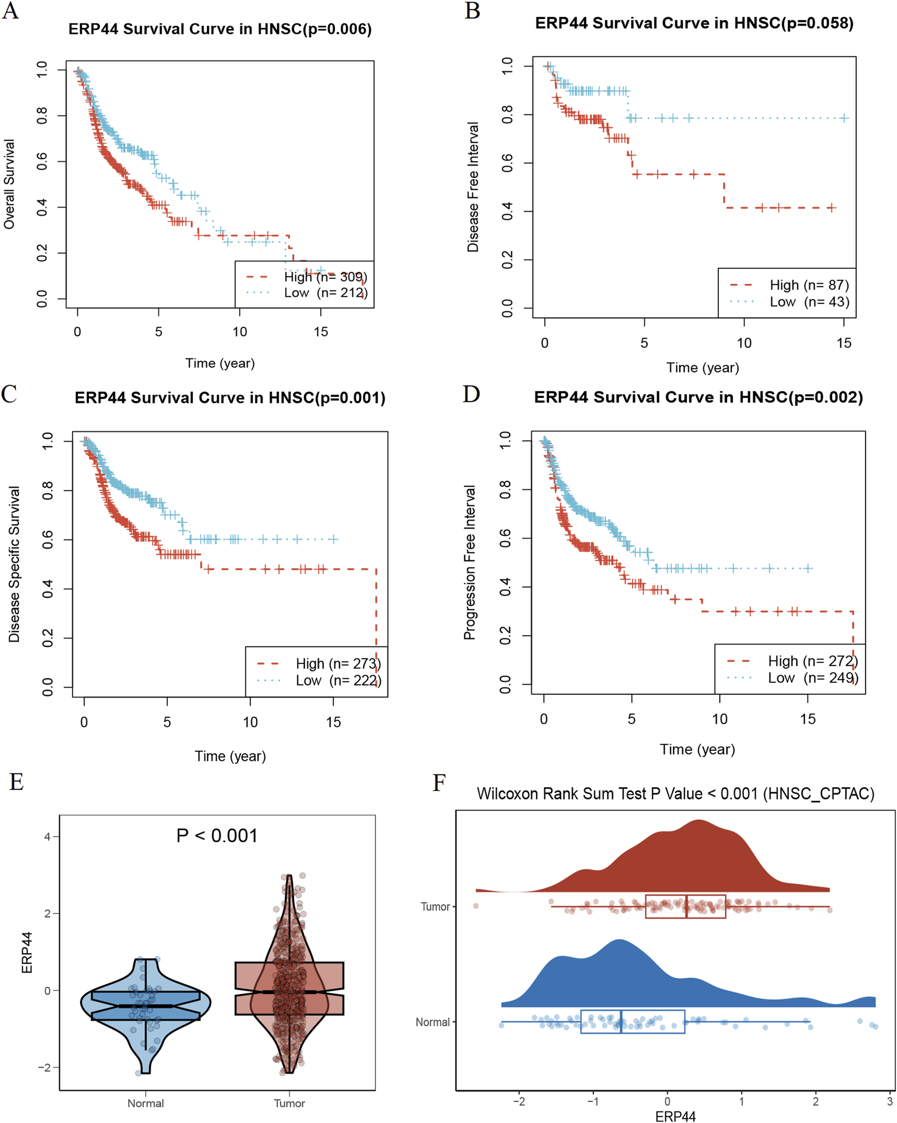 Kaplan-Meier plots A-D present ERP44 survival data for head and neck squamous cell carcinoma (HNSC) with varying significance levels. A and C indicate overall and disease-specific survival with high significance (p=0.006, p=0.001). B and D show disease-free and progression-free intervals, with B close to significance (p=0.058). E displays a violin plot comparing ERP44 expression in normal versus tumor tissues, showing higher expression in tumors (p<0.001). F features a density plot with boxplots for ERP44 expression in tumor and normal samples, confirmed significant by Wilcoxon test (p<0.001).