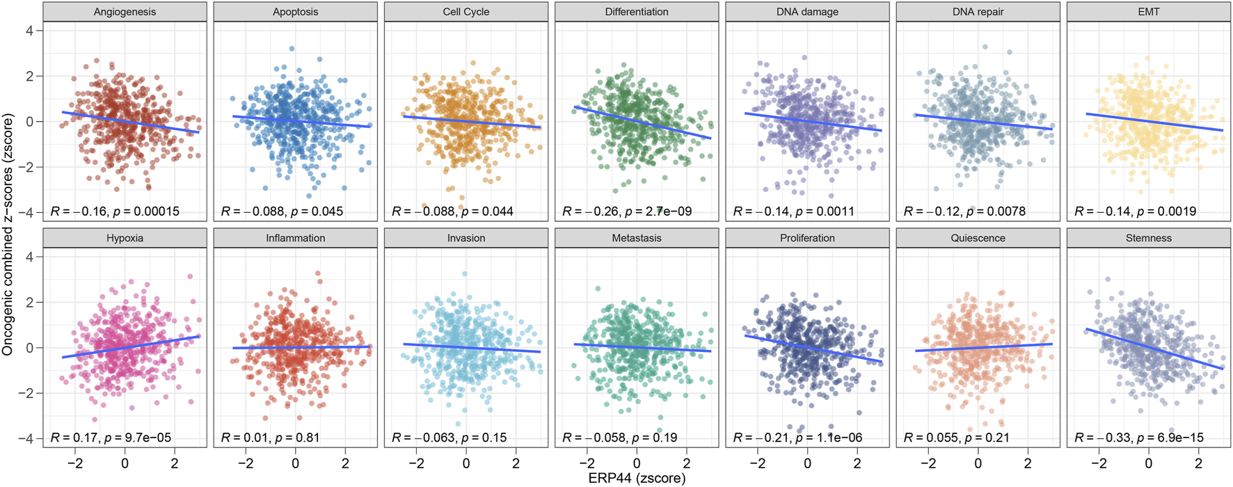Twelve scatter plots showing the relationship between ERP44 z-scores and oncogenic combined z-scores in various biological processes. Each plot includes a regression line with correlation coefficients (R) and p-values. Processes include angiogenesis, apoptosis, cell cycle, differentiation, DNA damage, DNA repair, EMT, hypoxia, inflammation, invasion, metastasis, proliferation, quiescence, and stemness.
