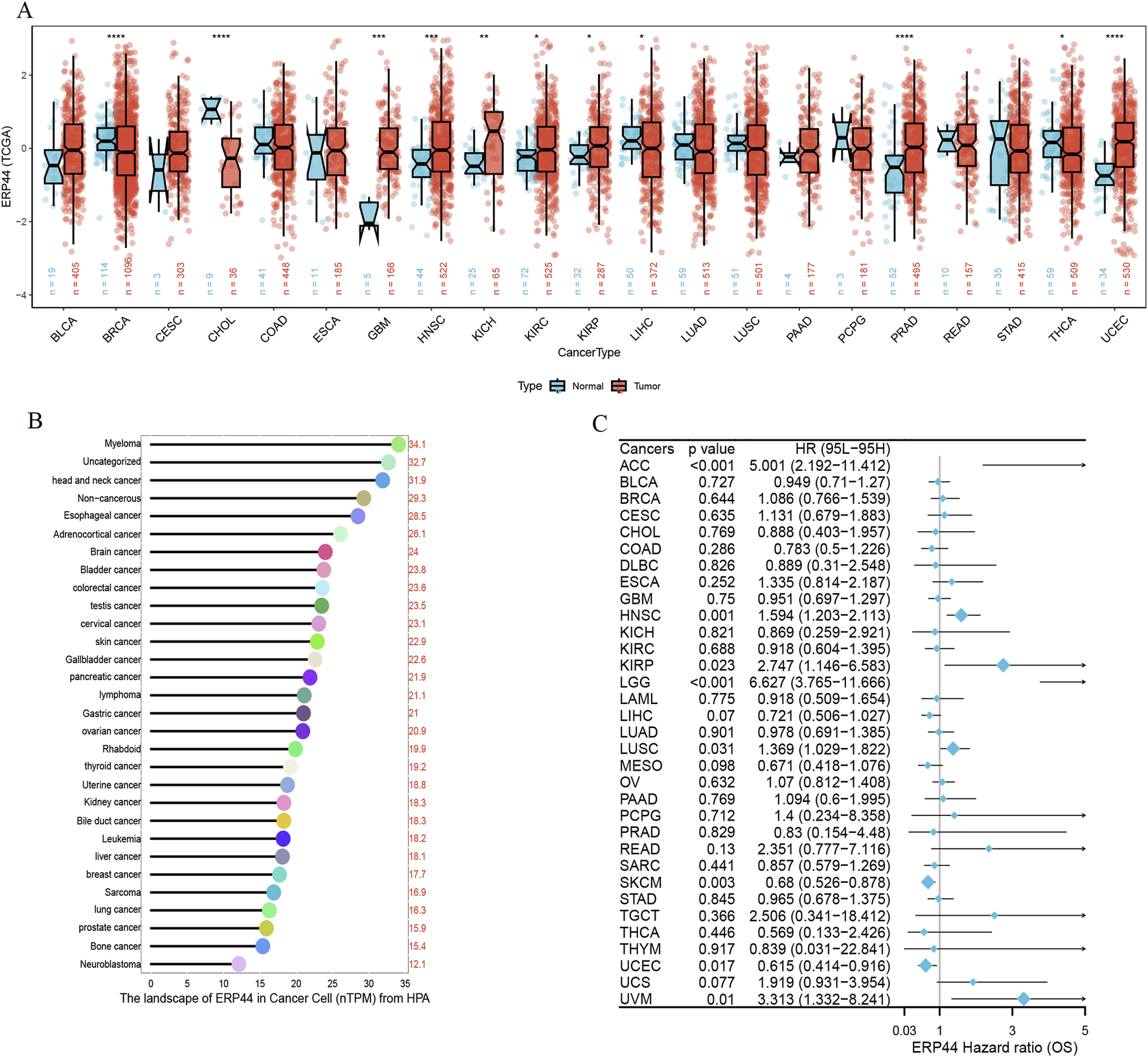 Panel A: Box plots showing ERP44 expression levels in various cancer types, differentiating between normal and tumor tissues. Panel B: Bar chart detailing ERP44 expression in different cancer cells, with varied color coding. Panel C: Table listing cancer types with corresponding p-values, hazard ratios, and confidence intervals for ERP44, accompanied by a forest plot.
