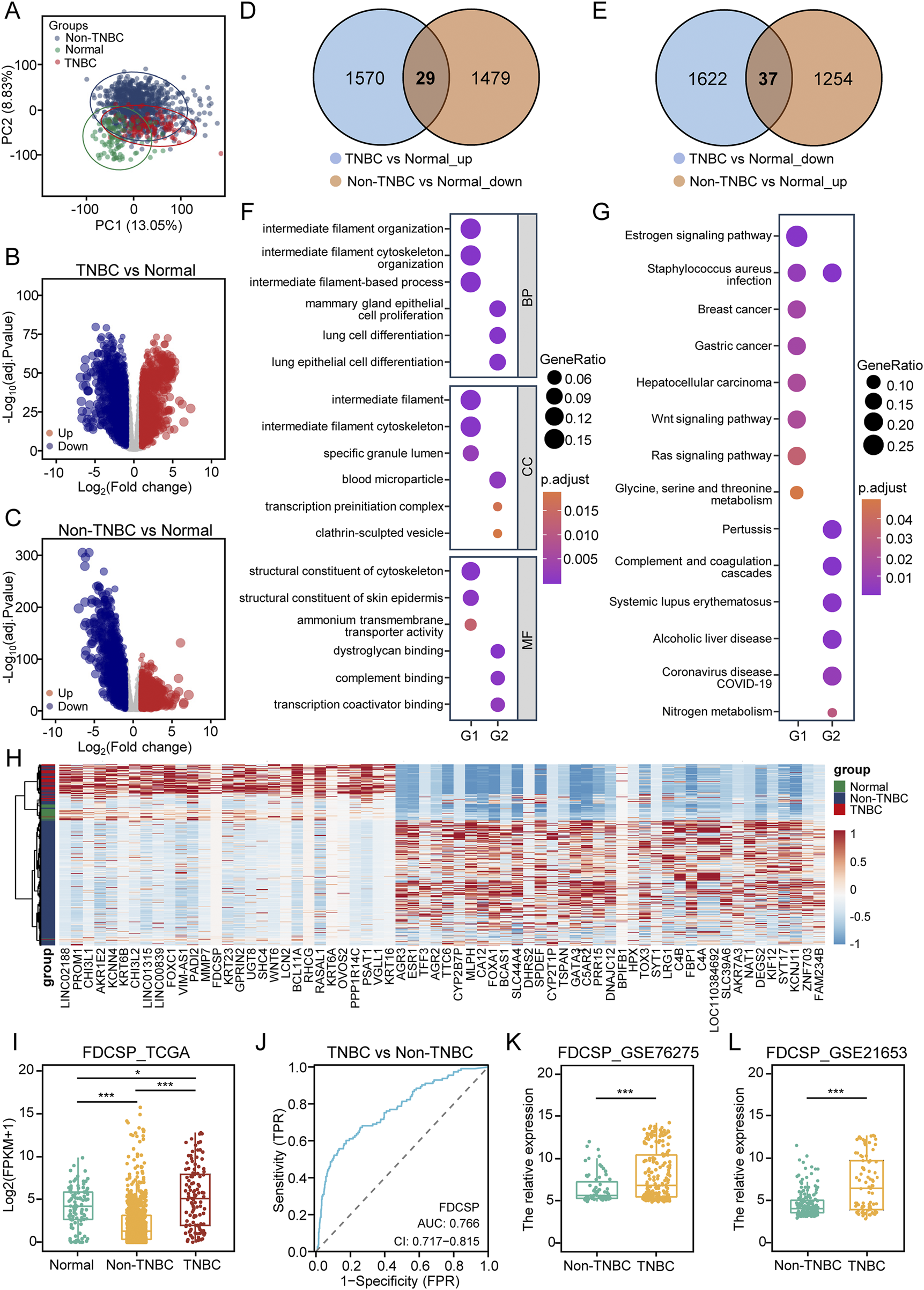 A multi-panel image analyzing gene expression differences between TNBC, non-TNBC, and normal samples. Panel A shows a PCA plot illustrating sample clustering. Panels B and C display volcano plots of gene expression changes. Panels D and E present Venn diagrams of differentially expressed genes. Panel F shows enriched biological processes, cellular components, and molecular functions, with bubble charts indicating gene ratio and p-values. Panel G illustrates enriched pathways. Panel H is a heatmap of gene expression across groups. Panels I to L are box plots and an ROC curve related to FDCSP expression, showing statistical significance.