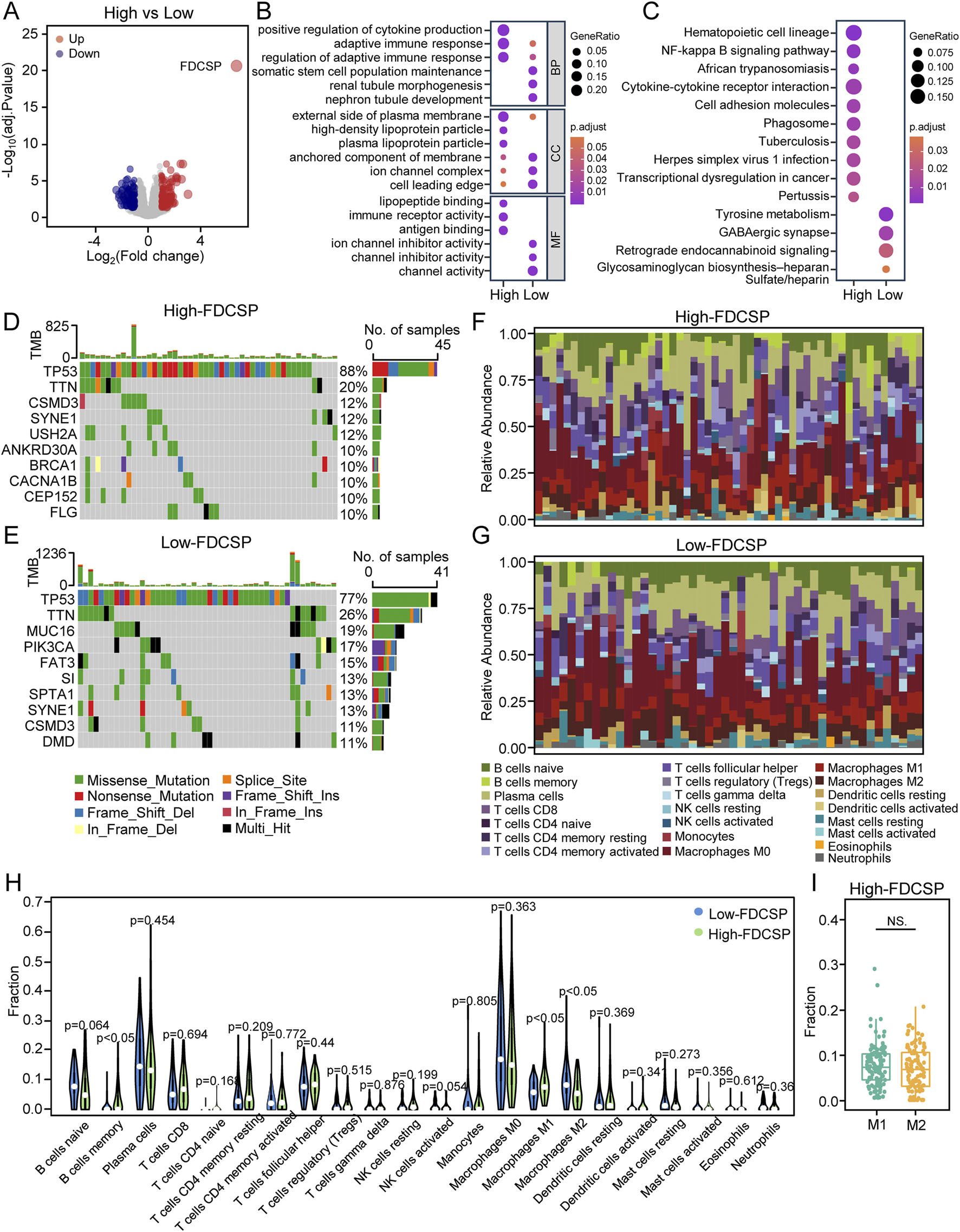 A multi-panel scientific illustration comparing high and low FDCSP expression across various analyses. Panel A shows a volcano plot with upregulated and downregulated genes. Panel B highlights biological processes, cellular components, and molecular functions with dot plots. Panel C illustrates pathway enrichment analysis with dot plots. Panels D and E display mutation profiles with bar graphs for high and low FDCSP groups, respectively. Panels F and G present stacked bar graphs of immune cell relative abundance for both groups. Panel H features violin plots showing fractions of different cell types. Panel I depicts a box plot comparing M1 and M2 macrophages in the high FDCSP group.