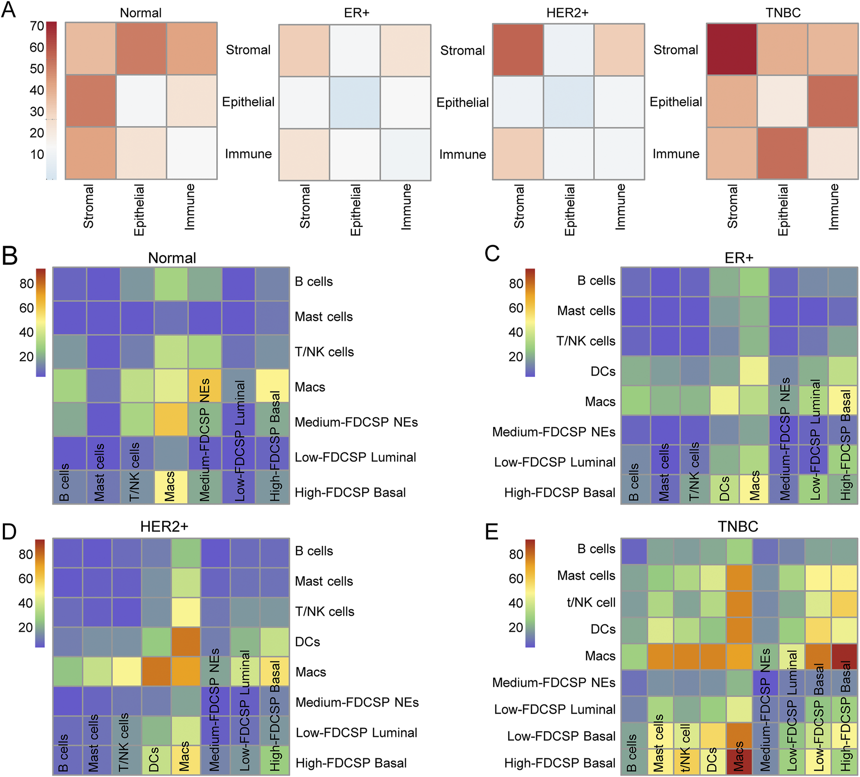 Panel A displays heat maps comparing stromal, epithelial, and immune cell compositions across four conditions: Normal, ER+, HER2+, and TNBC. Panels B to E show detailed heat maps for each condition—Normal, ER+, HER2+, and TNBC—highlighting specific cell types such as B cells, mast cells, T/NK cells, and macrophages, with color gradients indicating different levels of presence across these groups.