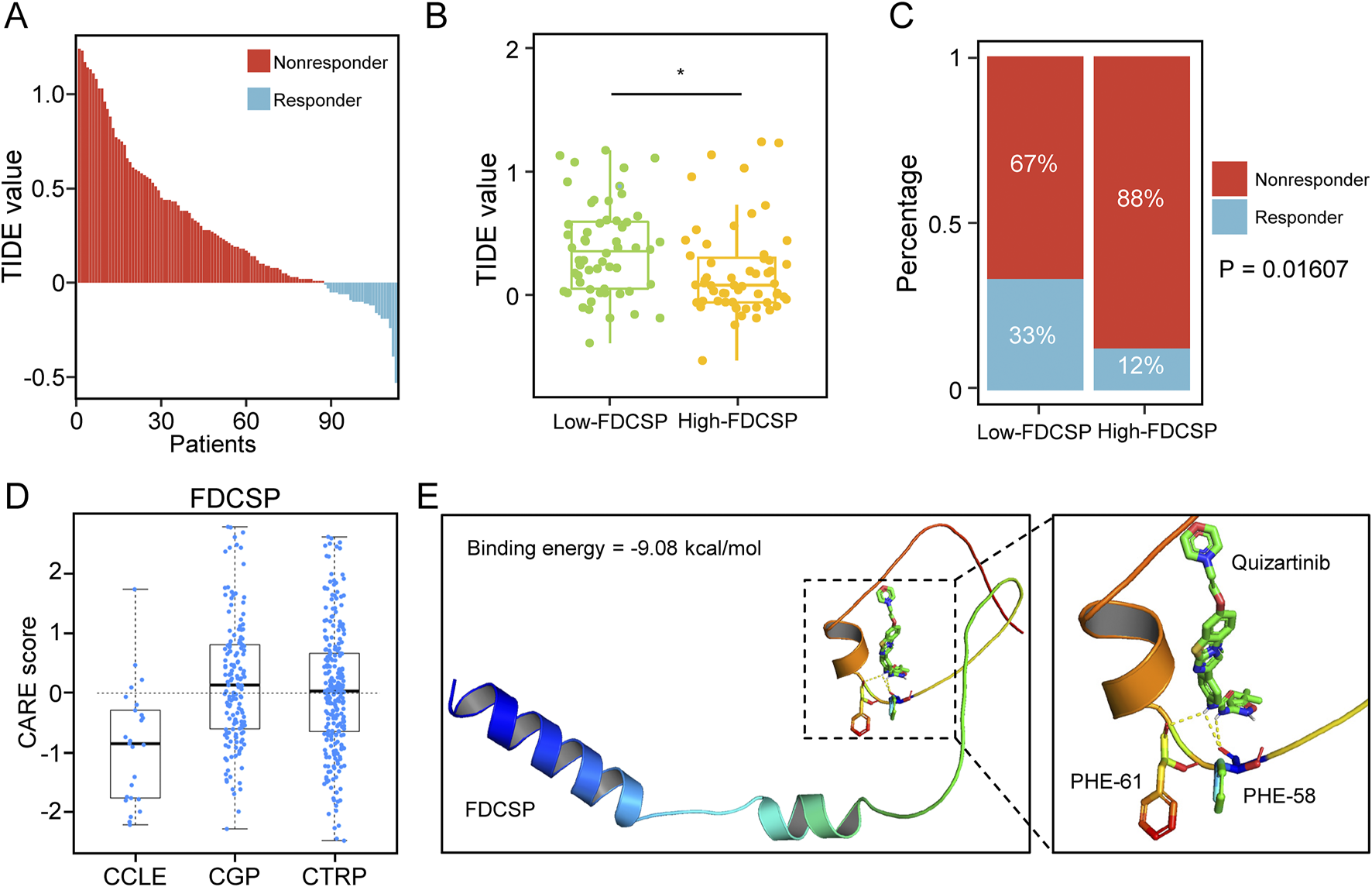 Panel A shows a bar chart of TIDE values for patients, divided into nonresponders (red) and responders (blue). Panel B displays a box plot of TIDE values for low-FDCSP and high-FDCSP groups, with a significant difference marked. Panel C is a bar chart showing percentages of nonresponders and responders in low versus high FDCSP groups, with significant difference (p = 0.01607). Panel D features box plots of CARE scores for FDCSP across different datasets. Panel E illustrates binding energy and structural interaction of FDCSP and quizartinib, with a binding energy of minus nine point zero eight kcal/mol.