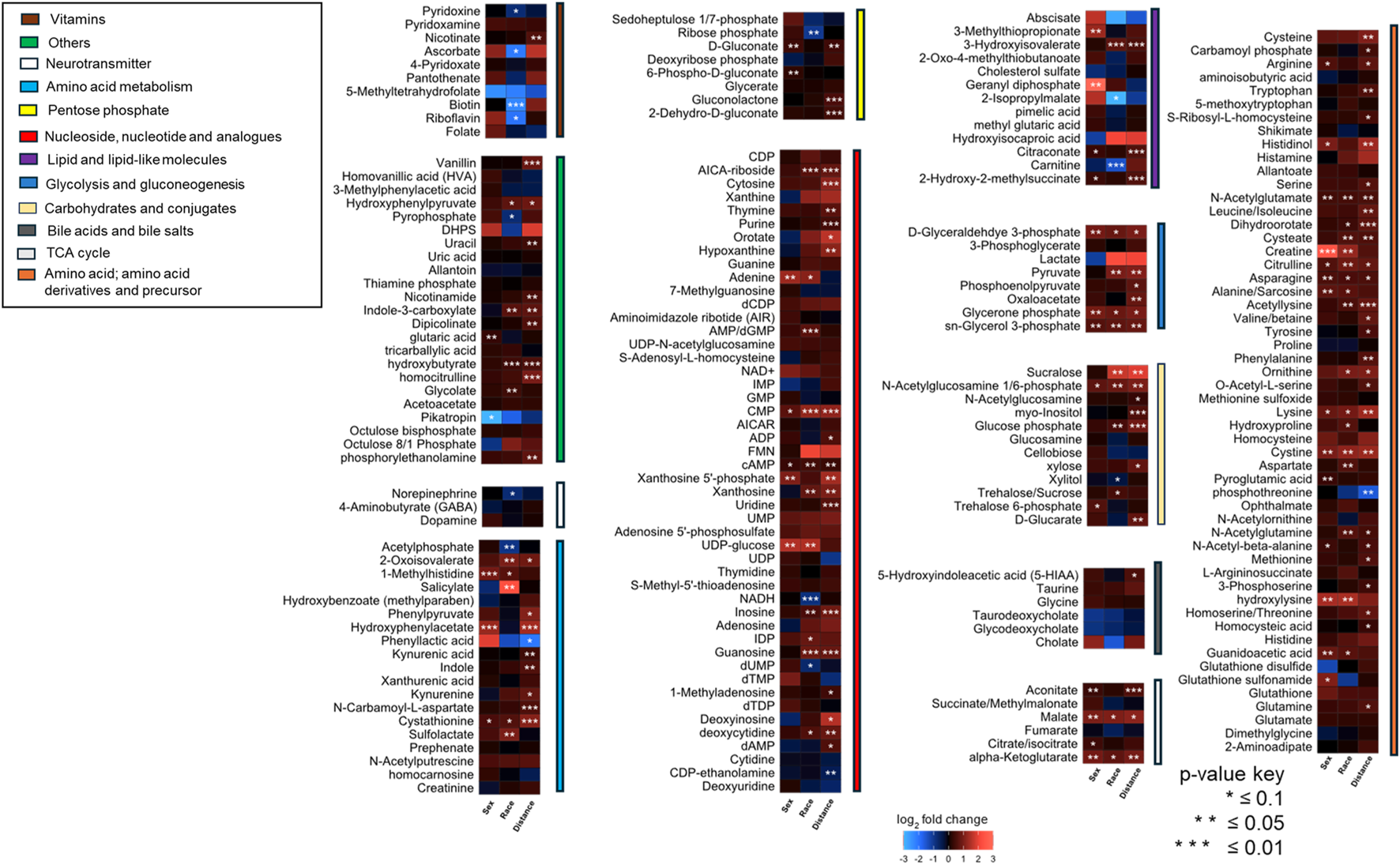 Heatmap displaying metabolic changes with color-coded significance levels. Categories include vitamins, neurotransmitters, amino acid metabolism, and more. Each small grid shows log2 fold change, with colors ranging from blue (low) to red (high). A p-value key indicates significance with asterisks.