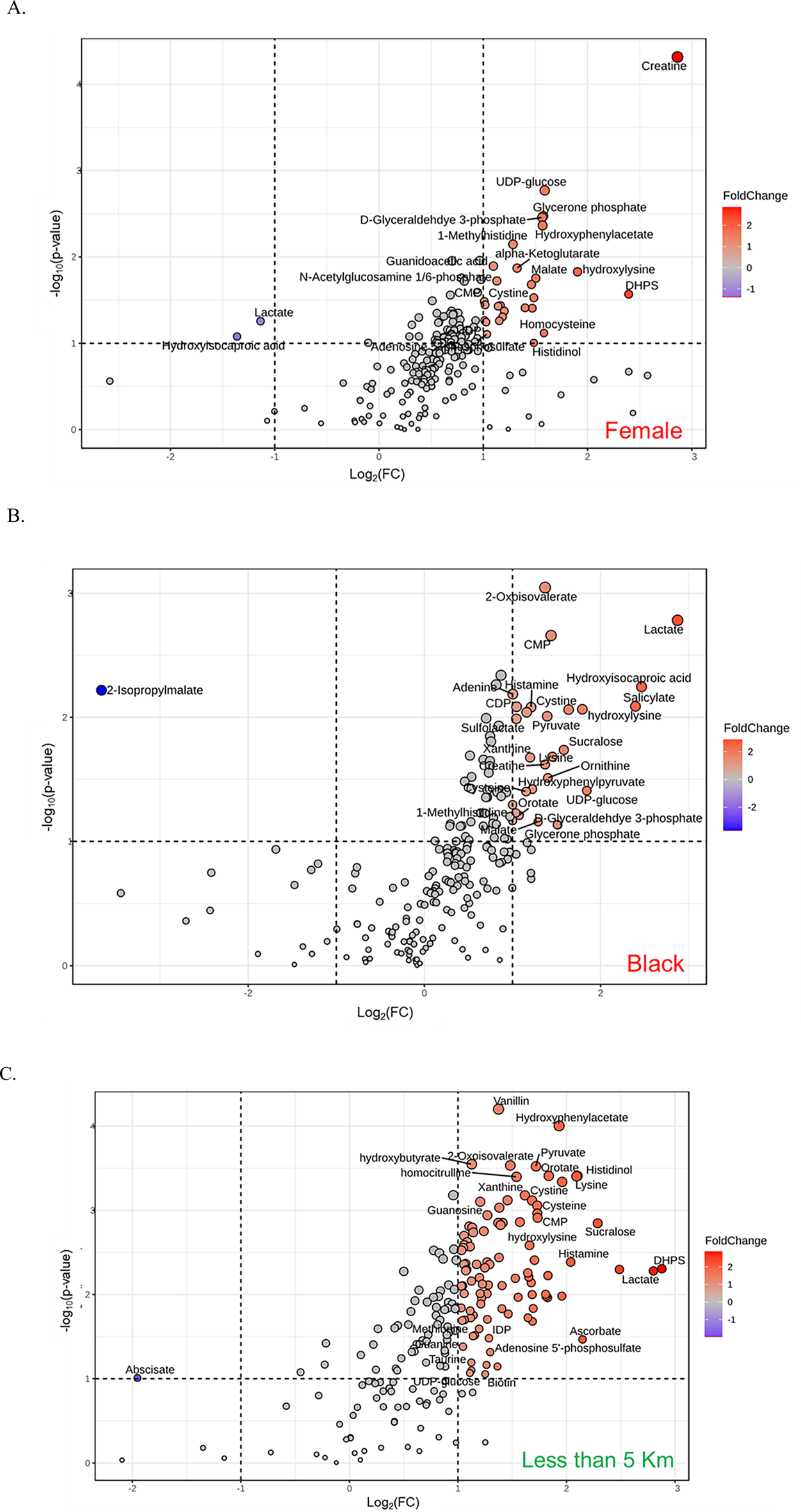 Volcano plots compare metabolites for different groups. Panel A shows “Female” with significant metabolites like creatine and UDP-glucose. Panel B is labeled “Black,” highlighting metabolites like 2-isopropylmalate and lactate. Fold change is indicated by color, with red for high and blue for low changes. Volcano plot showing metabolites with fold change (x-axis) versus negative log p-value (y-axis). Significant metabolites are highlighted in red, with darker shades indicating higher fold changes. Labels identify specific metabolites such as Vanillin, Hydroxyphenylacetate, and DHPS. The plot includes dashed lines marking thresholds for significance.