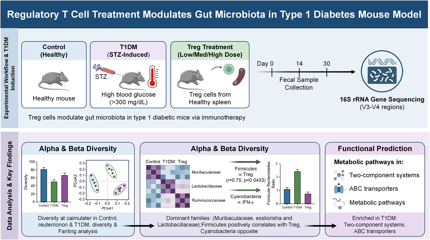 Panel A is a bar chart showing sequence length distribution with almost all sequences falling in the 401–450 range. Panel B is a colorful multi-set Venn diagram depicting OTU overlap among twelve groups labeled A to L, with 494 shared at the center and each group’s count listed.