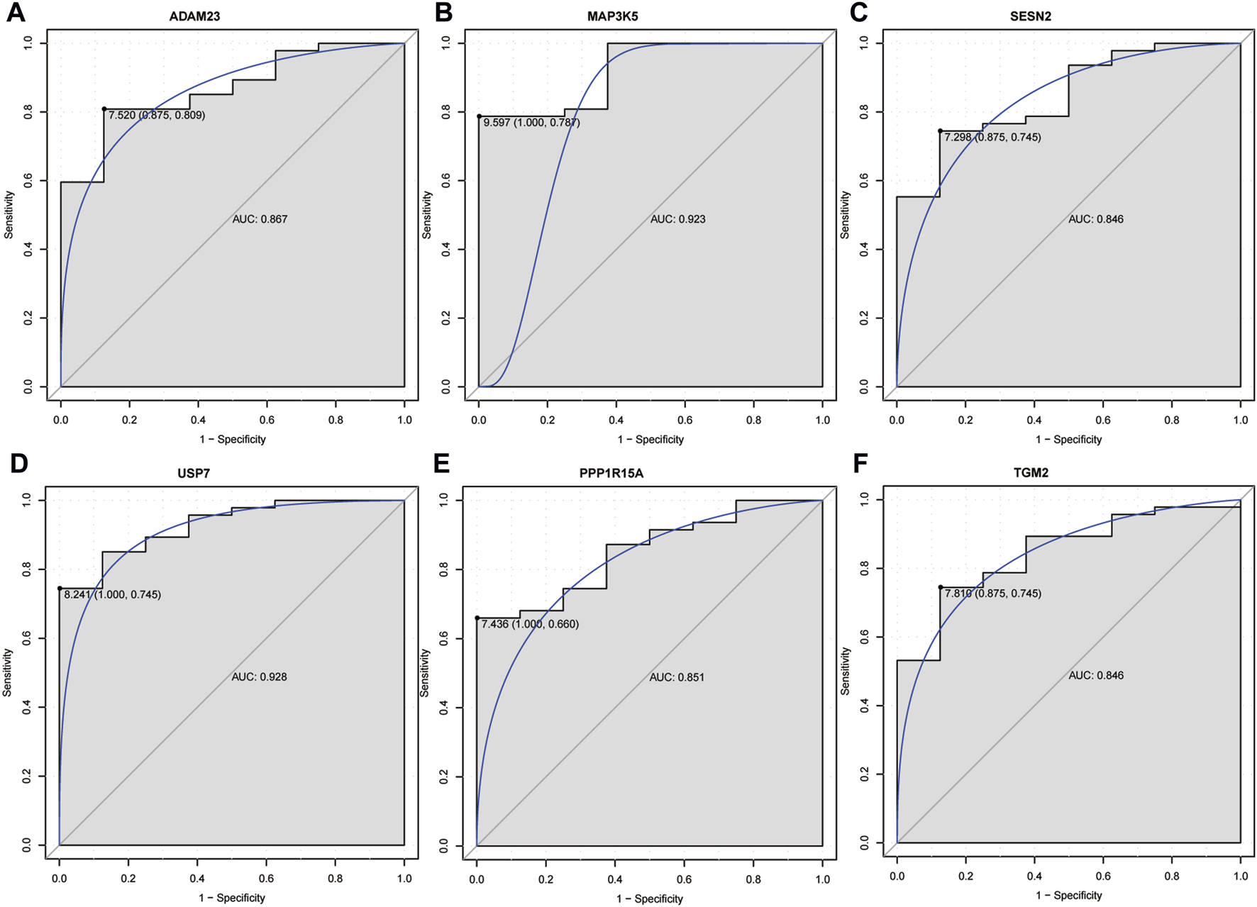 Six-panel graphic shows ROC curves for gene biomarkers: ADAM23, MAP3K5, SESN2, USP7, PPP1R15A, and TGM2. Each plot displays the ROC curve, key threshold value with coordinates, and AUC values between zero point eight four six and zero point nine two eight, illustrating diagnostic accuracy.