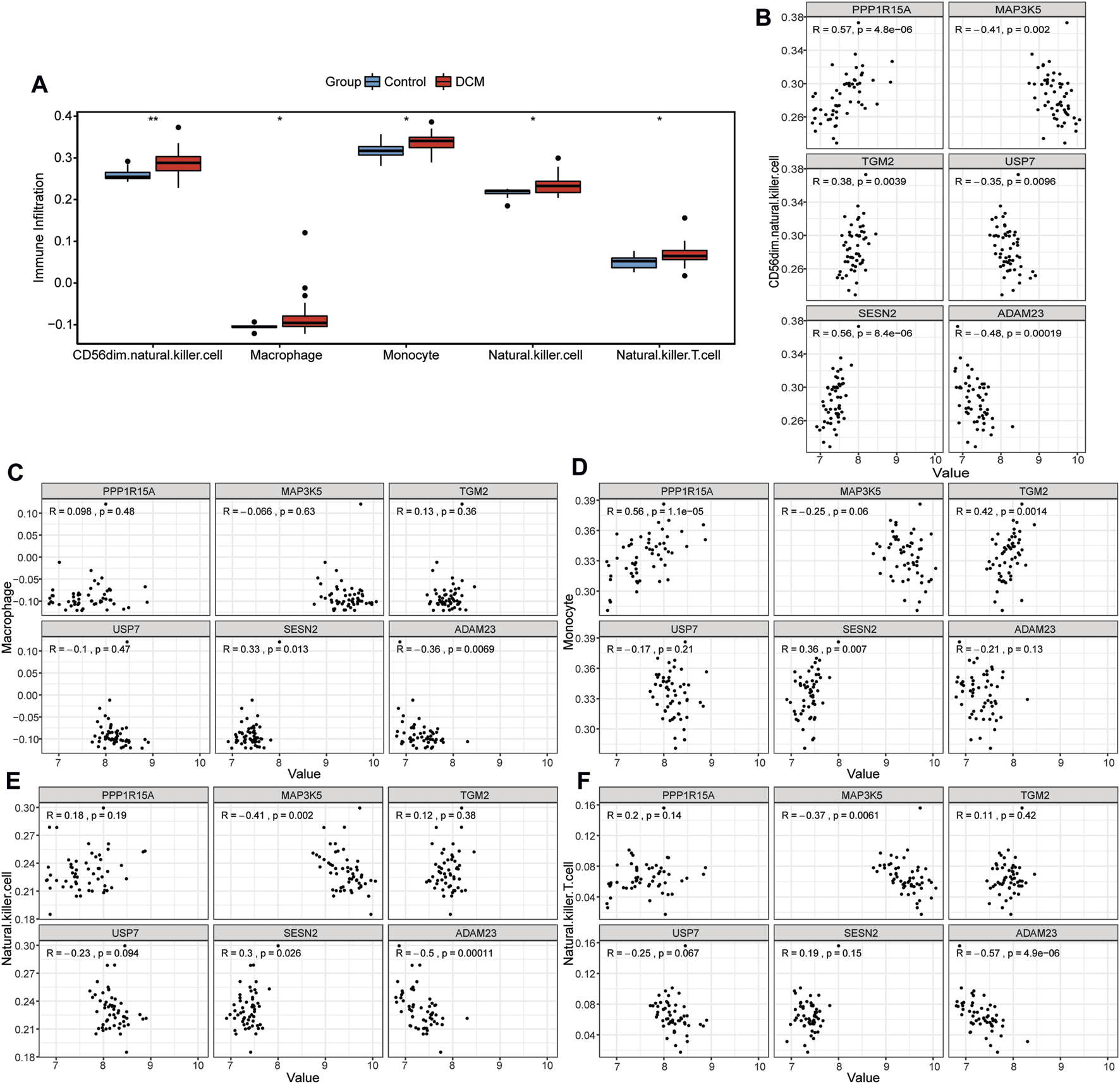 Panel A shows a boxplot comparing immune infiltration levels in control versus DCM groups for five immune cell types, with significant differences indicated. Panels B to F display scatter plots of gene expression values versus immune cell infiltration for six genes, reporting correlation coefficients and p-values across CD56dim natural killer cells (B), macrophages (C), monocytes (D), natural killer cells (E), and natural killer T cells (F).