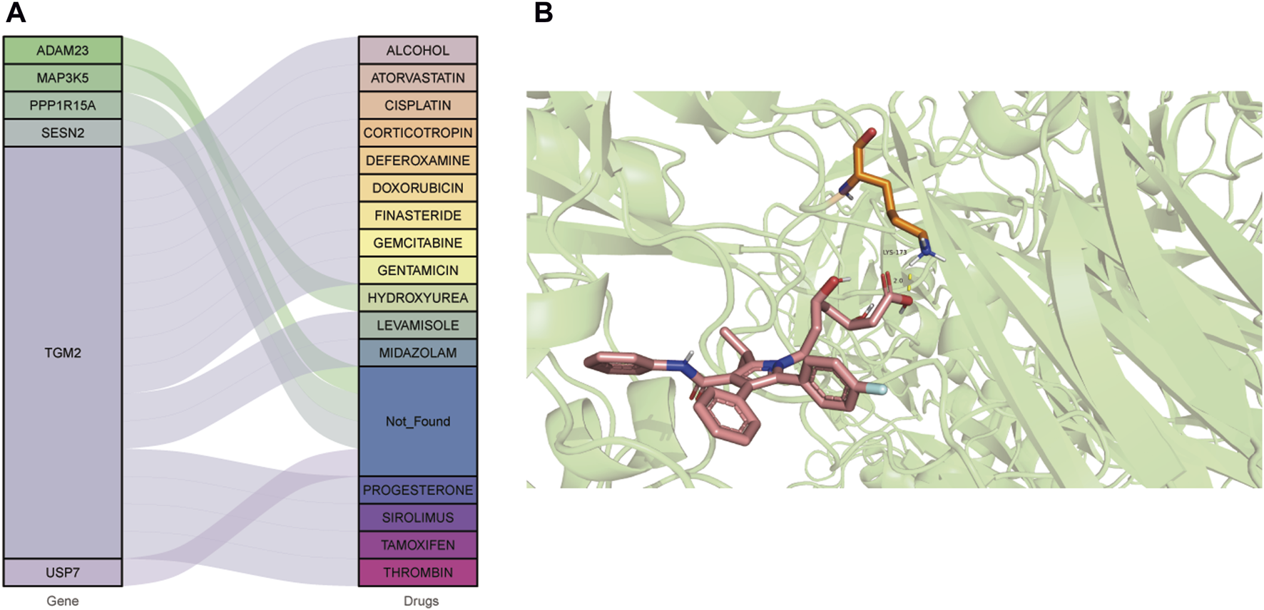 Panel A depicts a Sankey diagram linking specific genes to various drugs, illustrating gene-drug associations with color-coded drug categories. Panel B shows a molecular structure visualization of a protein-ligand complex, highlighting interactions between the ligand and protein residues in ribbon style.