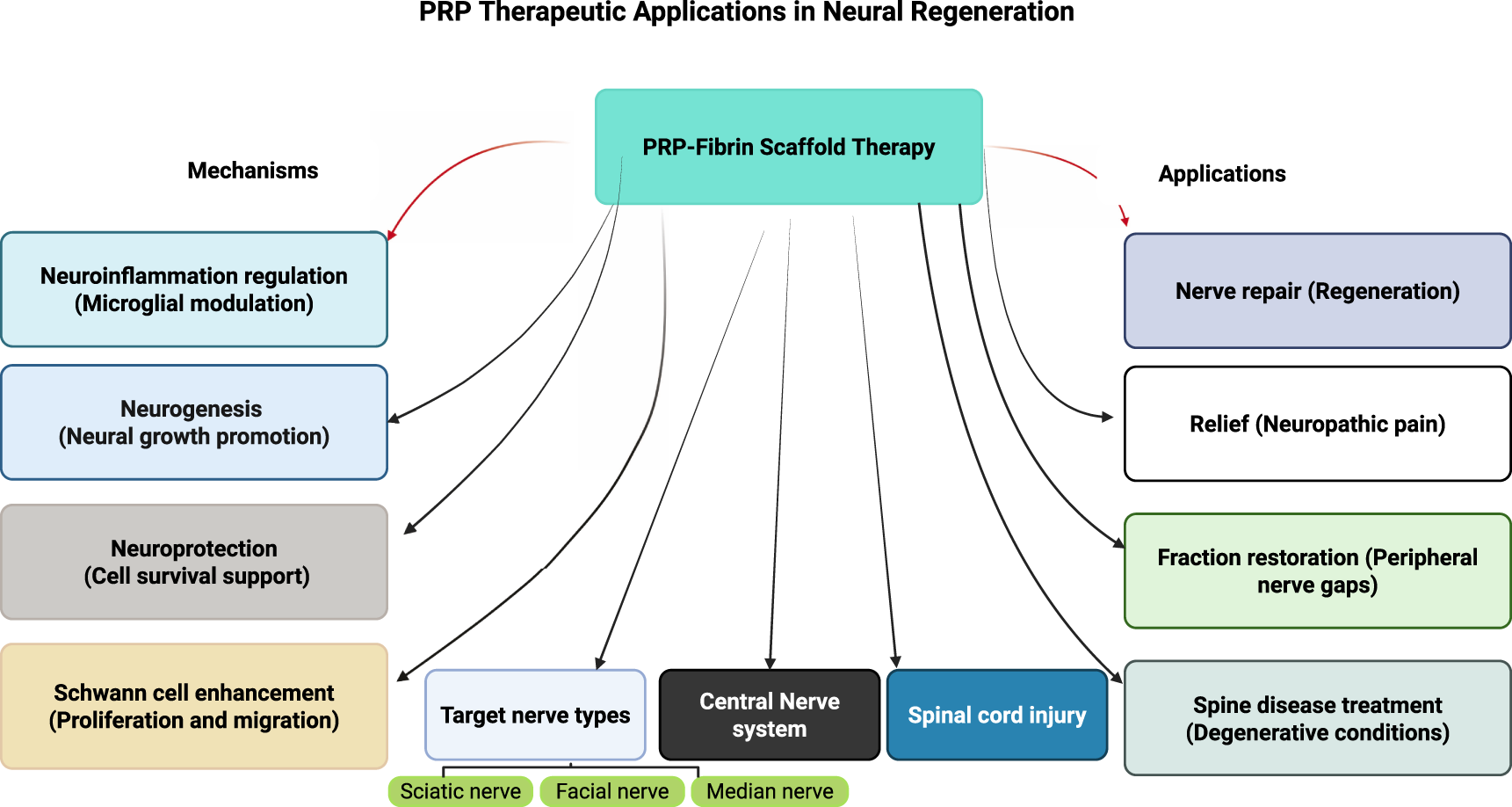 PRP therapeutic applications in neural regeneration are depicted in a flowchart. The central technique, "PRP Products and Fibrin Scaffolds," influences mechanisms like neuroinflammation regulation, neurogenesis, neuroprotection, and Schwann cell enhancement. Applications include nerve repair, relief for neuropathic pain, fraction restoration, and spine disease treatment. These target the sciatic, facial, and median nerves, the central nervous system, and spinal cord injury.