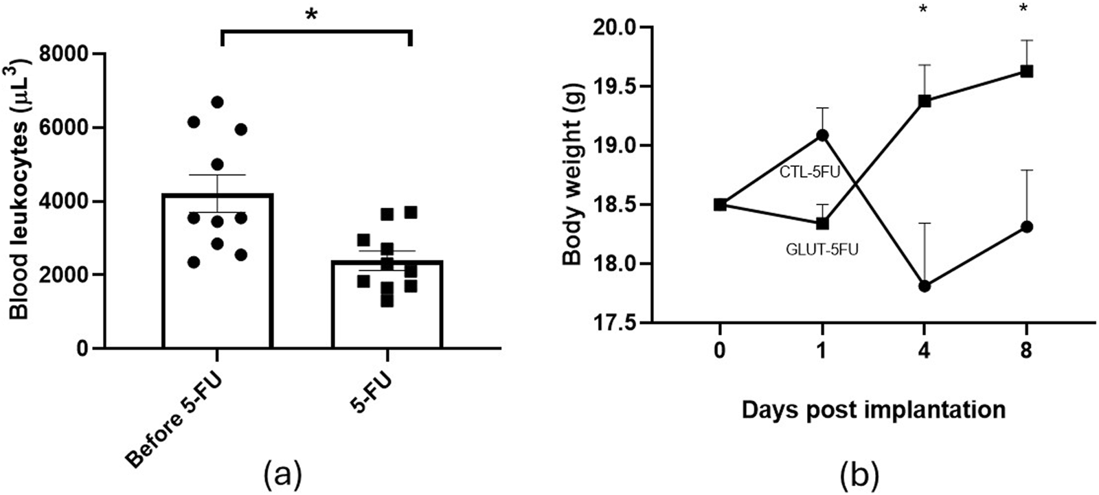 Bar graph labeled panel (a) compares blood leukocyte count before and after 5-FU treatment, showing a significant decrease. Line graph labeled panel (b) tracks body weight over eight days post-implantation for CTL-5FU and GLUT-5FU groups, with GLUT-5FU group displaying higher body weight at days four and eight. Both graphs indicate significant differences with asterisks.