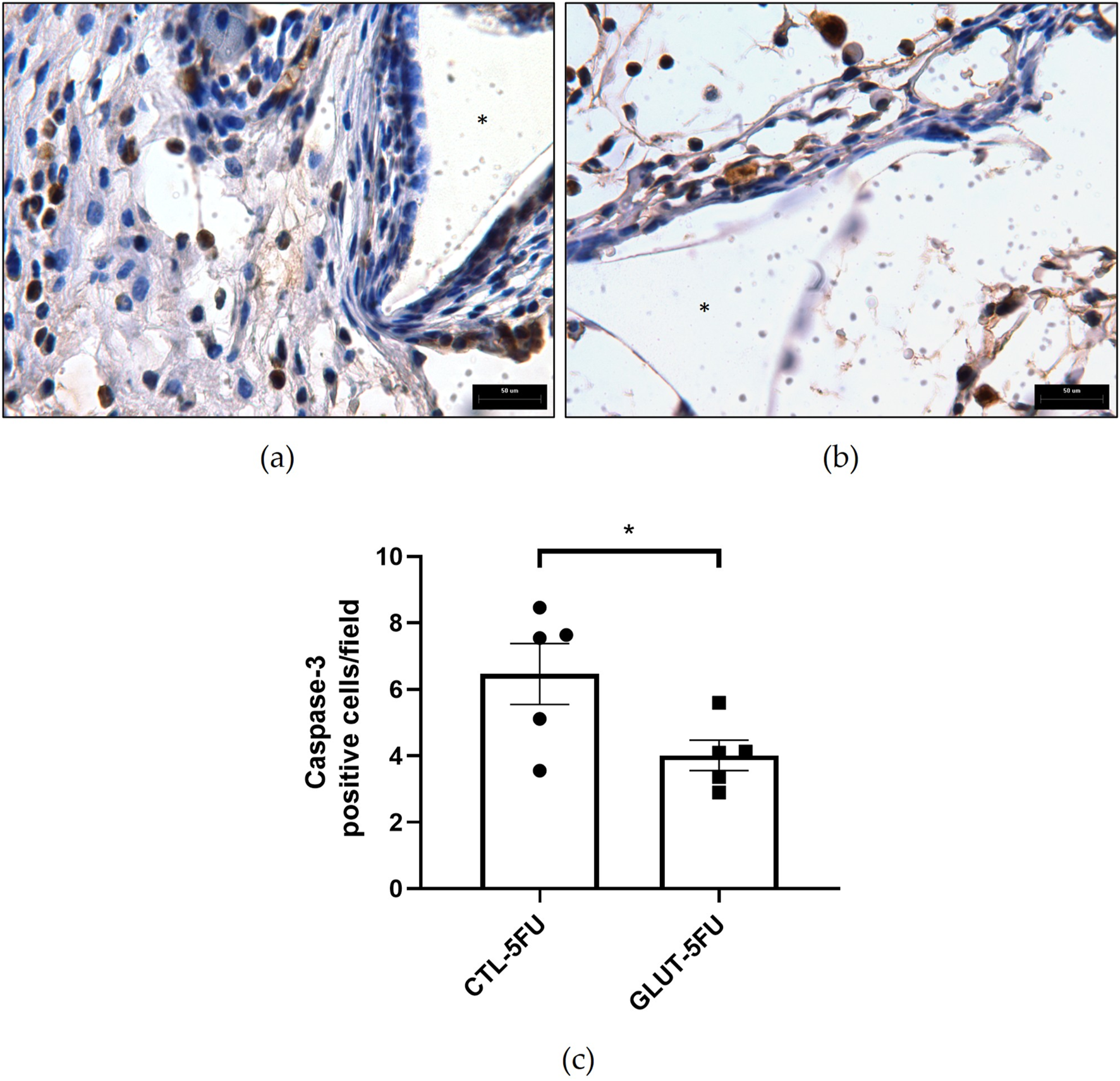 Panel (a) shows an immunohistochemical image with densely packed, brown-stained caspase-3 positive cells and blue-stained nuclei, while panel (b) shows a similar tissue section with fewer caspase-3 positive cells. Panel (c) is a bar graph comparing caspase-3 positive cells per field between CTL-5FU and GLUT-5FU groups, showing a statistically significant reduction in the GLUT-5FU group.