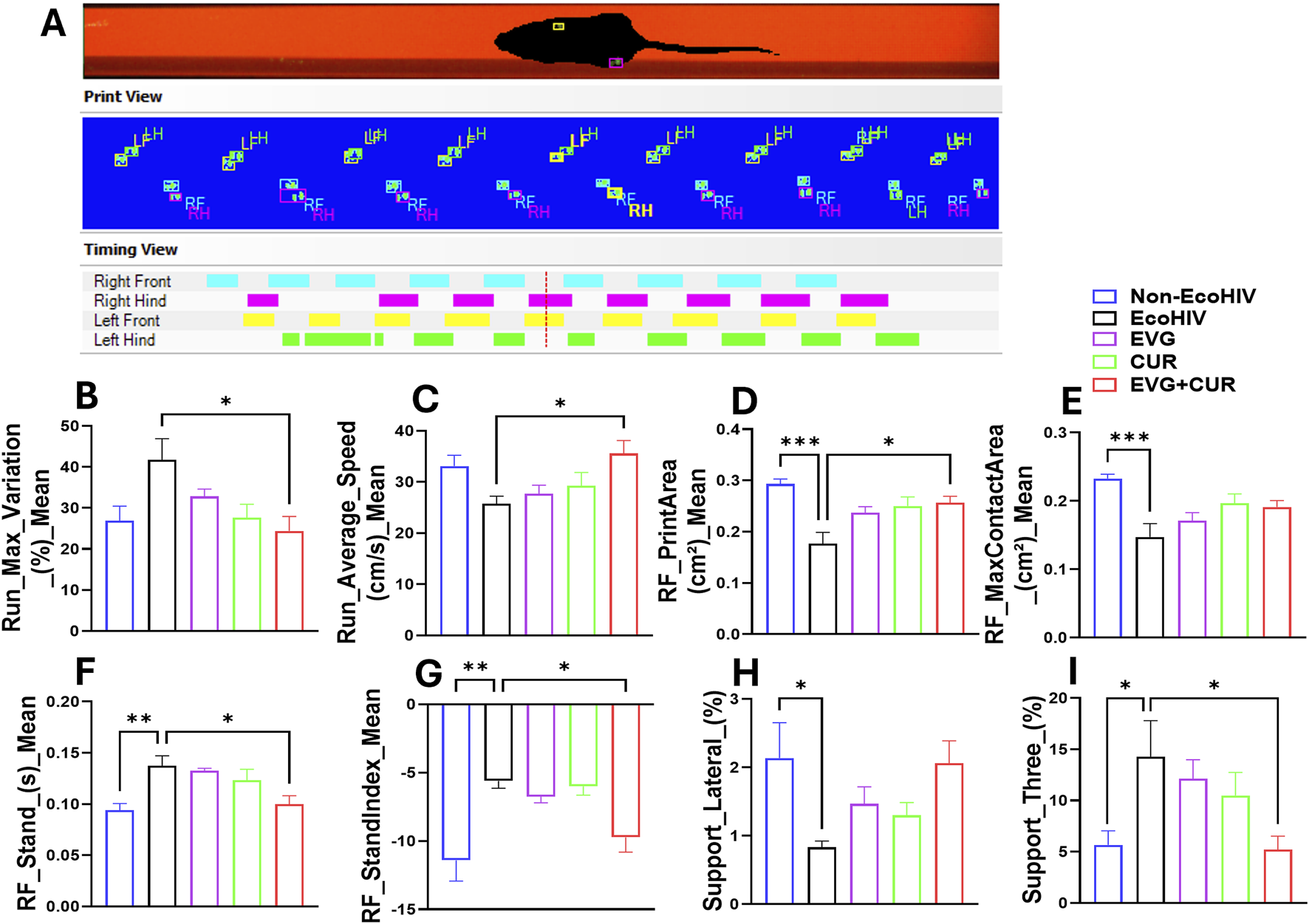 A series of panels depicting a rodent gait analysis. Panel A shows tracking data of a mouse's movement across three views: print, timing, and silhouette. Various footfalls are color-coded. Panels B to I present bar graphs comparing parameters like maximum variation, average speed, and stance index among different mouse groups: Non-EcoHIV, EcoHIV, EVG, CUR, and EVG+CUR, each represented by a different color. Asterisks indicate statistical significance between groups.