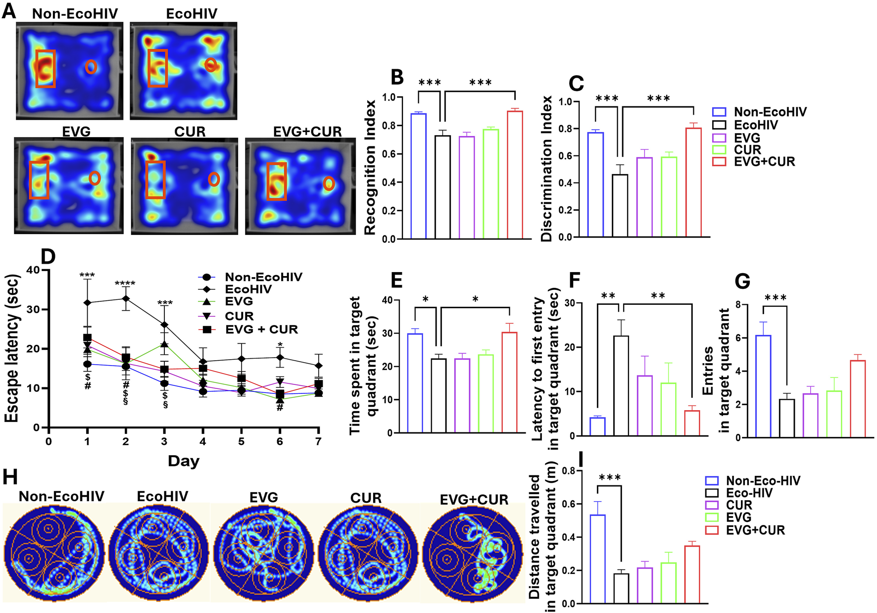 Brain scan heatmaps and bar charts show data from Non-EcoHIV, EcoHIV, EVG, CUR, and EVG+CUR groups. Metrics include recognition and discrimination indices, escape latency, time spent, latency to entry, entries, and distance in the target quadrant. Graphs indicate significant differences between groups, marked with asterisks.