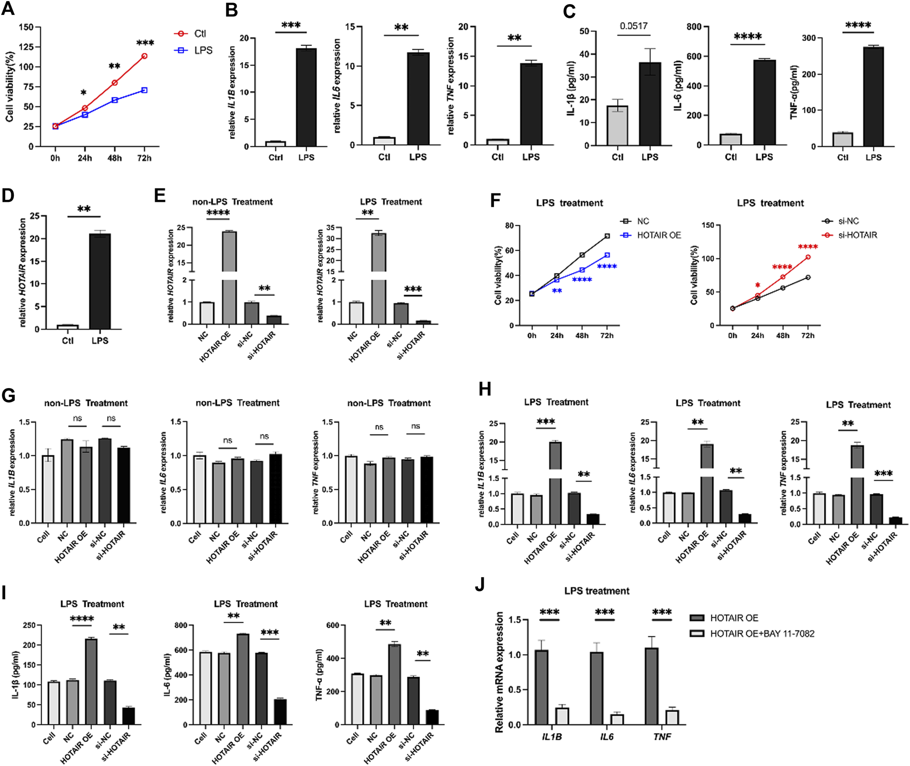 Various graphs depict data on cell viability and gene expression under different treatments. Graphs A and F show cell viability changes over time with control, HOTAIR overexpression, and silencing in the presence or absence of LPS. Graphs B, C, D, and H show variations in expression levels of IL-2, IL-6, TNF, and HOTAIR across conditions. Graphs E, G, I, and J examine the effects of HOTAIR modulation and LPS treatment on gene and protein expression levels. Significant differences are noted with asterisks.