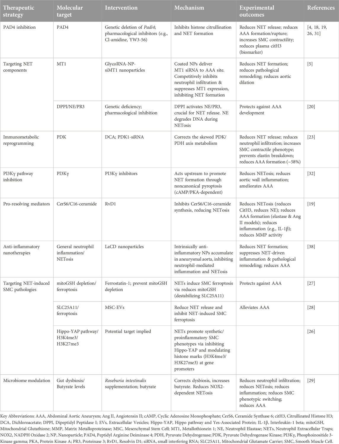 Neutrophil extracellular traps: emerging drivers and therapeutic targets in abdominal aortic aneurysm pathogenesis