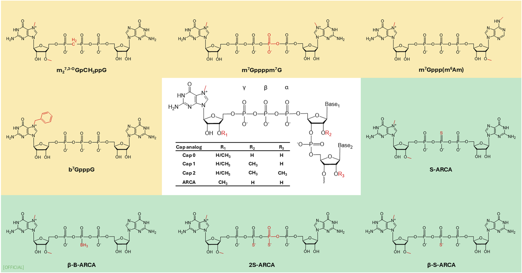 Chemical structures of various nucleotide cap analogs are displayed. The top section includes m₂⁷,³'-OGpCH₂ppG, m⁷Gppppm⁷G, m⁷Gppp(m⁶Am), and b⁷GpppG. The bottom section presents S-ARCA, β-B-ARCA, 2S-ARCA, and β-S-ARCA. Among these, additional labels like γ, β, and α mark specific phosphate groups in a central nucleotide diagram. The accompanying table lists cap analogs with substituents R₁, R₂, and R₃, detailing variations between Cap 0, Cap 1, Cap 2, and ARCA.