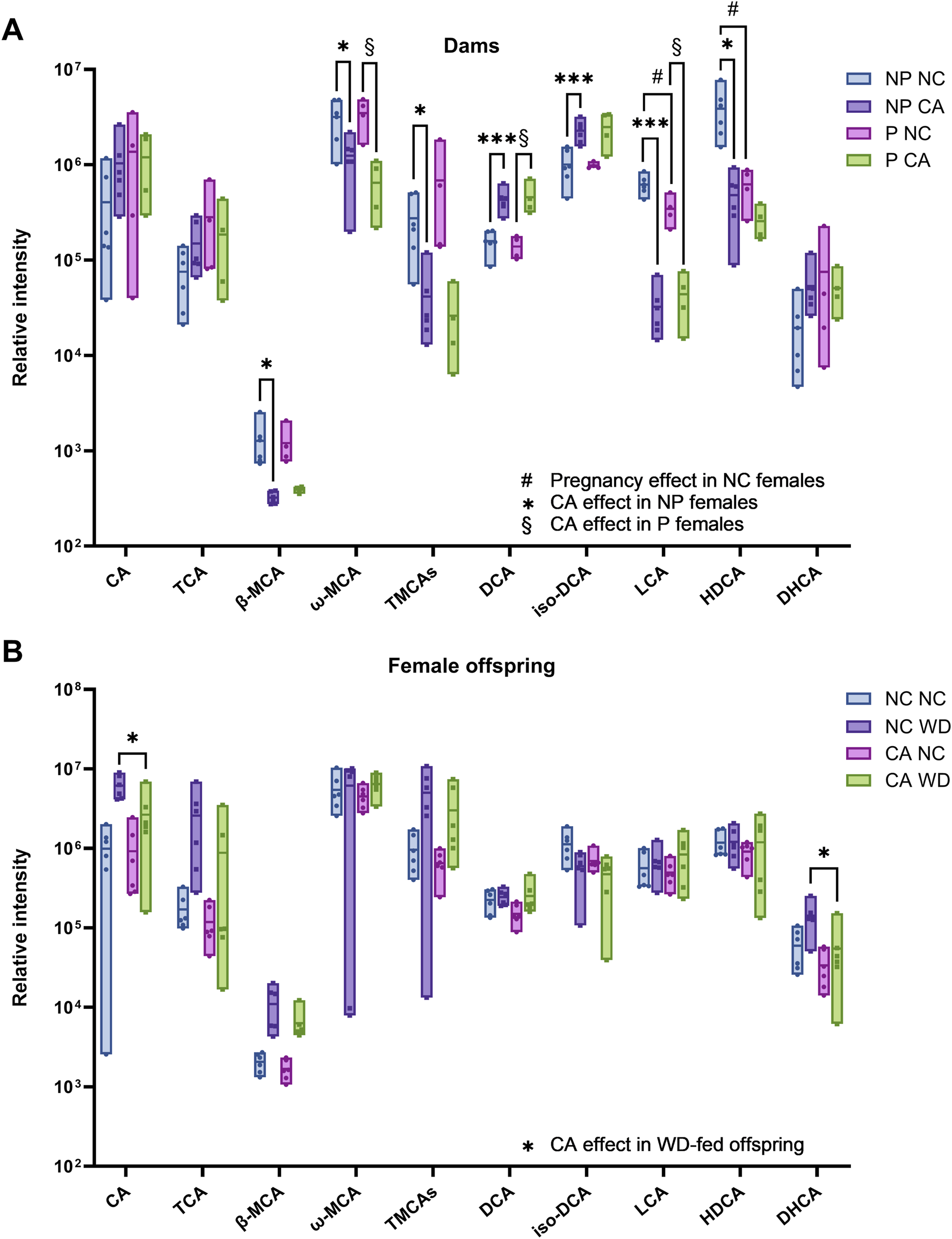 Bar charts displaying the relative intensity of various compounds in dams and female offspring are shown. (A) Dams: The chart shows CA, TCA, β-MCA, ω-MCA, TMCAs, DCA, iso-DCA, LCA, HDCA, DHCA with varying intensities colored by NP NC, NP CA, P NC, and P CA.B) Female offspring: Similar compounds with intensities marked by NC NC, NC WD, CA NC, and CA WD. Significant effects highlighted by symbols: # for pregnancy, * for CA effect, and § for CA effect during pregnancy.