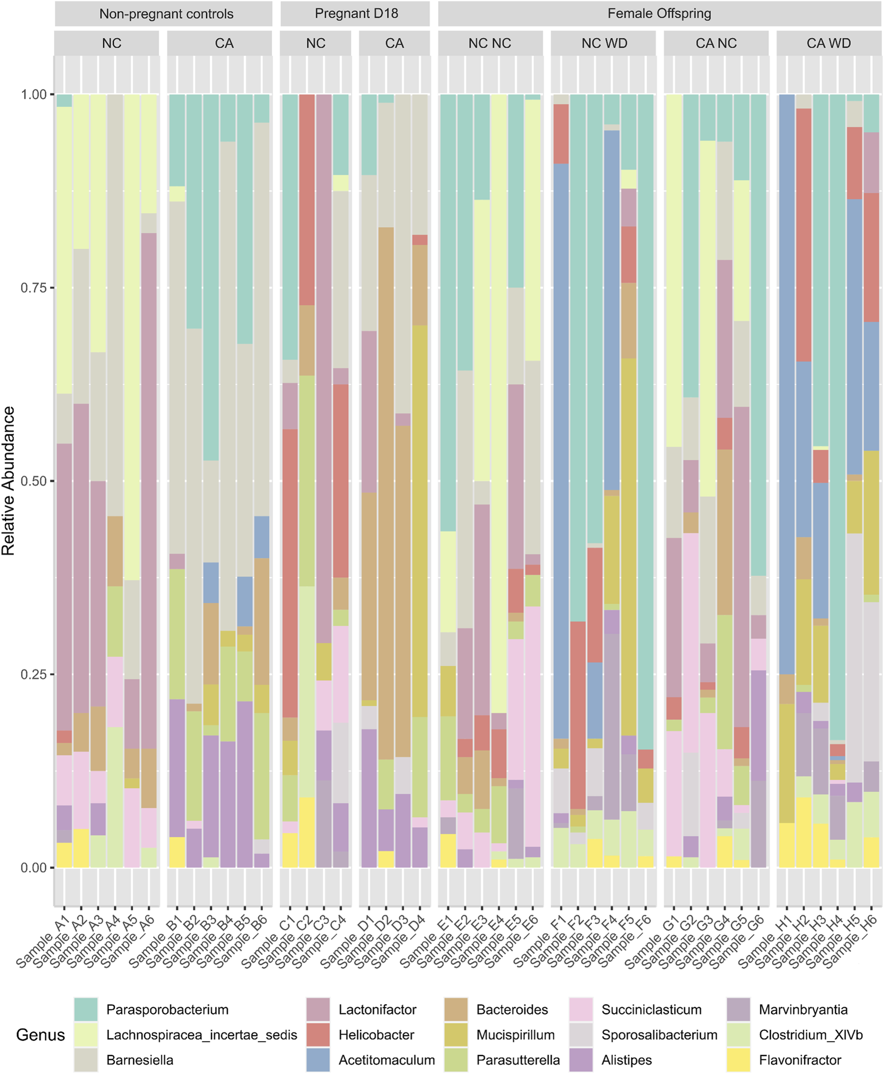 Stacked bar chart showing the relative abundance of various bacterial genera across different sample groups: Non-pregnant controls, Pregnant D18, and Female Offspring. Each sample is categorized by conditions like NC (normal chow) and CA (cholic acid-supplemented diet). Colors represent different bacterial genera, with a legend indicating which color corresponds to each genus, such as Parasporobacterium, Lactonifactor, and Bacteroides, among others.