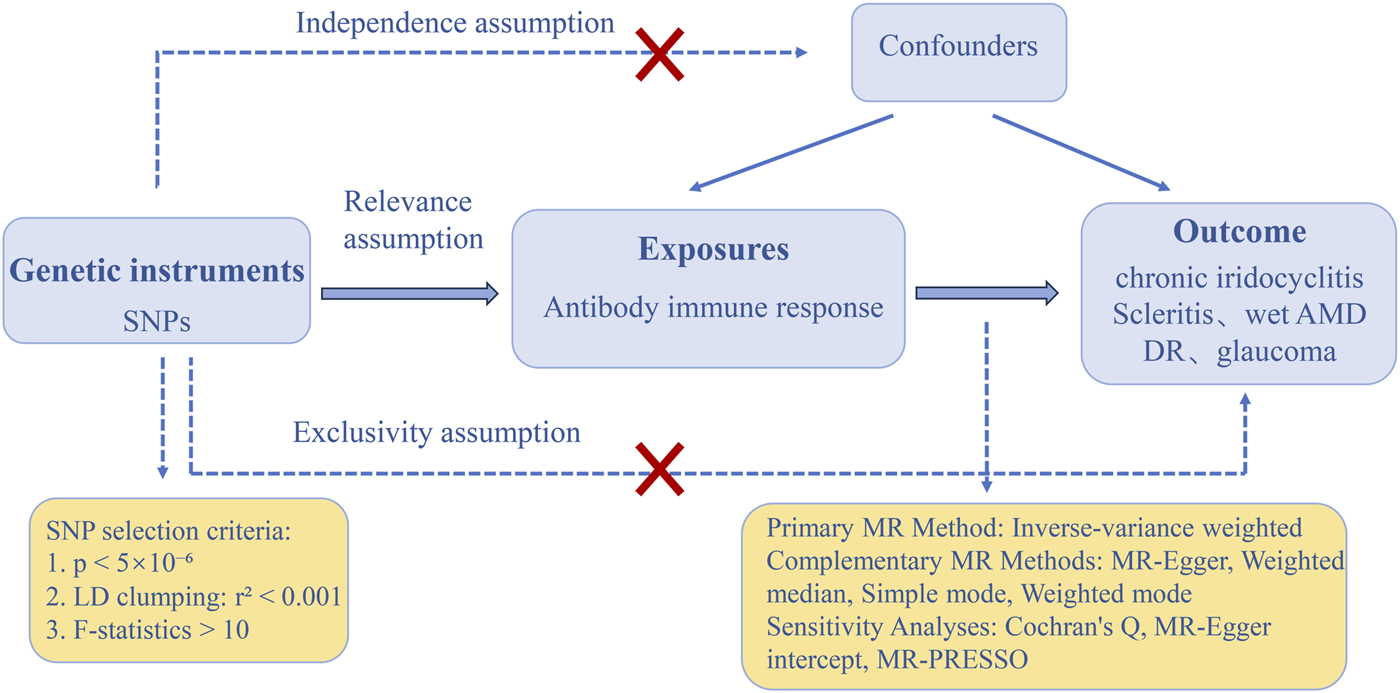 Flowchart illustrating Mendelian Randomization assumptions and methodology. It includes genetic instruments (SNPs) affecting exposures (antibody immune response), leading to outcomes (chronic iridocyclitis, scleritis, wet AMD, DR, glaucoma). Assumptions include independence, relevance, and exclusivity, highlighted by dashed lines and red crosses. SNP selection criteria and primary and complementary MR methods are listed, along with sensitivity analyses techniques.