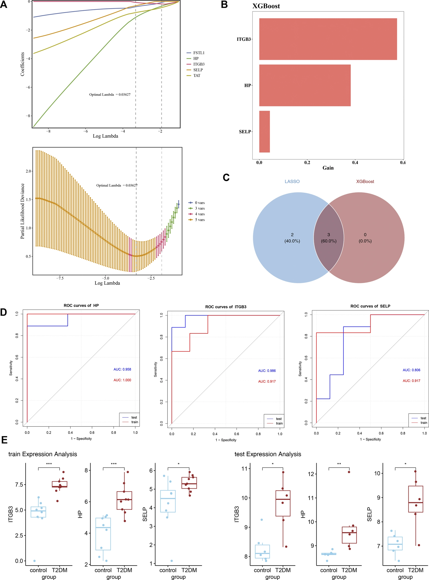 Panel A shows two LASSO regression plots: the top plot displays coefficient shrinkage as log lambda increases, highlighting optimal lambda selection; the bottom plot charts partial likelihood deviance for model tuning. Panel B is a horizontal bar graph indicating feature importance (gain) from XGBoost for ITGB3, HP, and SELP genes. Panel C presents a Venn diagram quantifying overlap between LASSO and XGBoost selected genes, with three genes shared, two unique to LASSO, and none unique to XGBoost. Panel D features three ROC curve graphics comparing test and train performance for HP, ITGB3, and SELP, each labeled with AUC values. Panel E contains box plots for train and test expression analyses of ITGB3, HP, and SELP, comparing control and T2DM groups, with statistical significance indicated by asterisks.