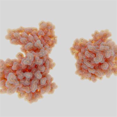 Issue Research topic image