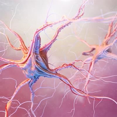 Issue Research topic image